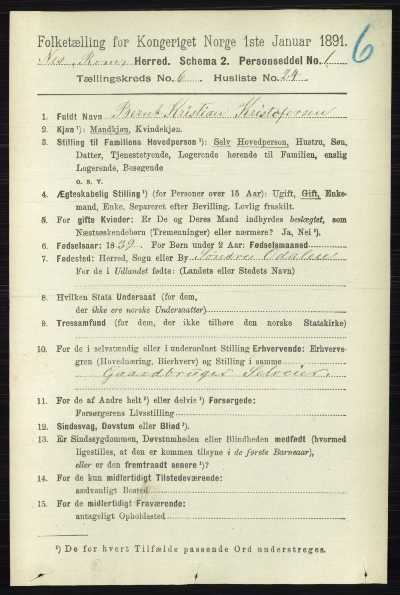 RA, 1891 census for 0236 Nes, 1891, p. 3518