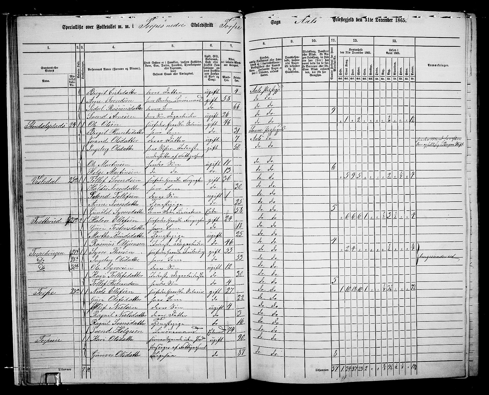 RA, 1865 census for Ål, 1865, p. 31