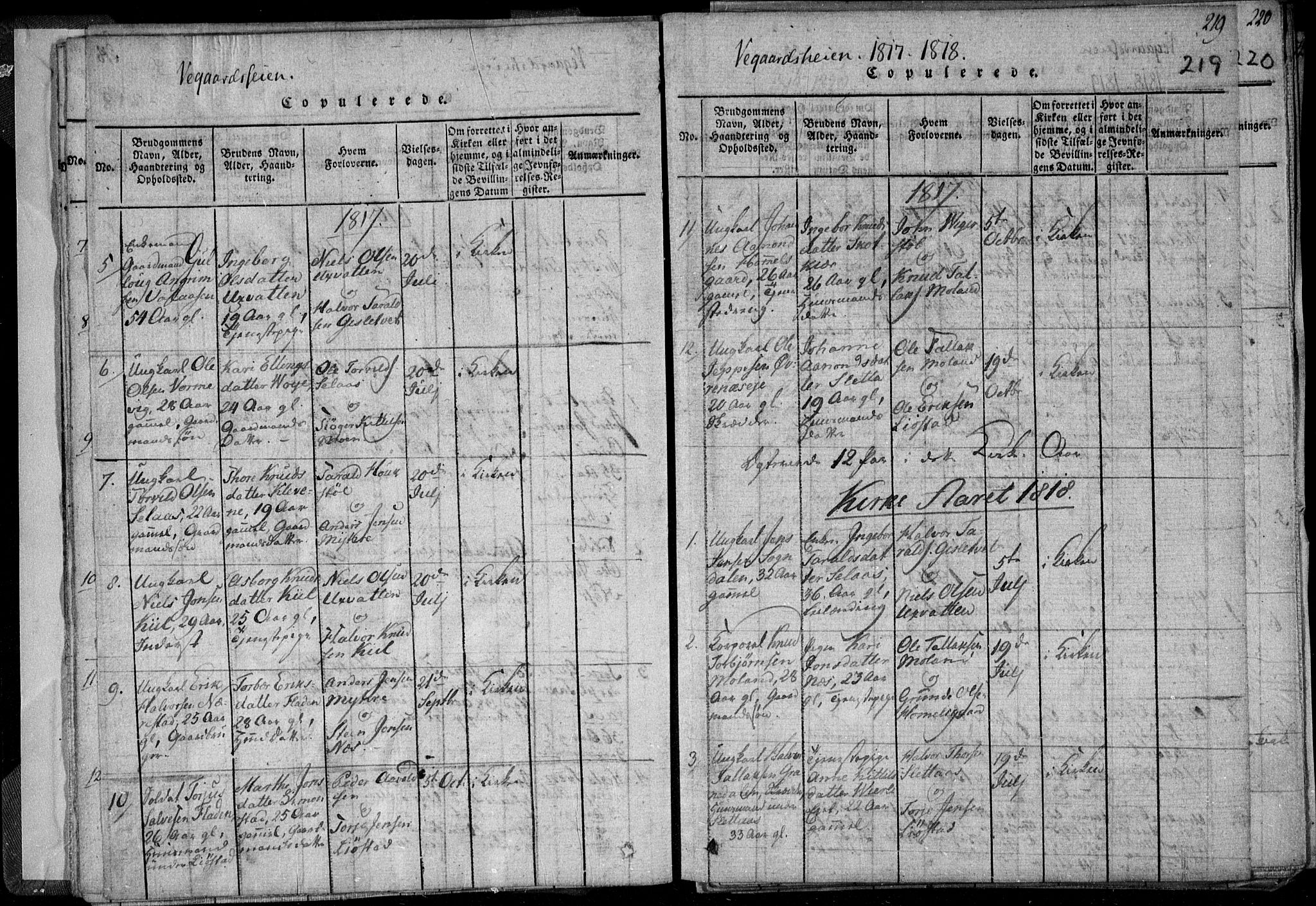 Holt sokneprestkontor, AV/SAK-1111-0021/F/Fa/L0005: Parish register (official) no. A 5, 1813-1821, p. 219