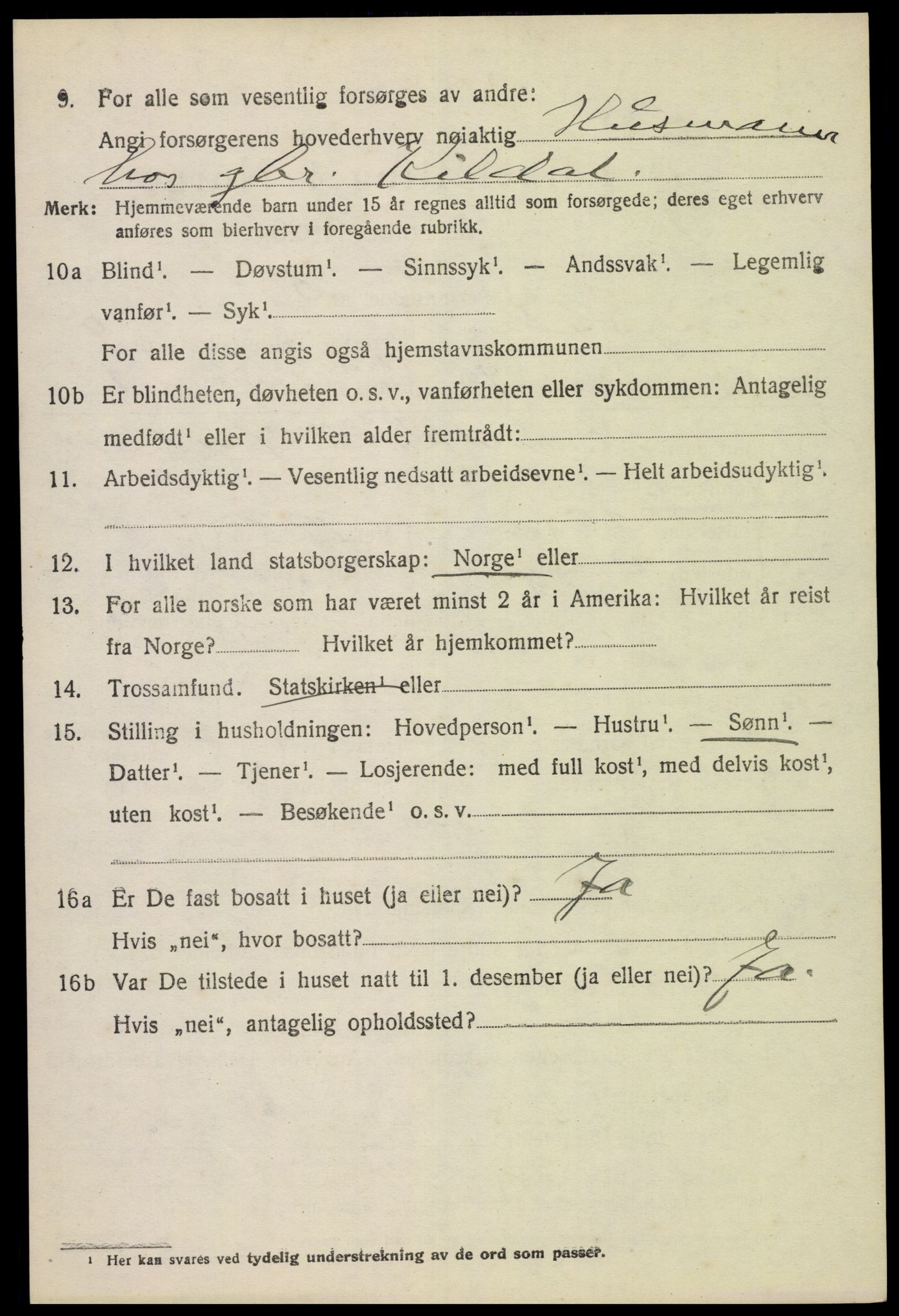 SAH, 1920 census for Ringsaker, 1920, p. 9691