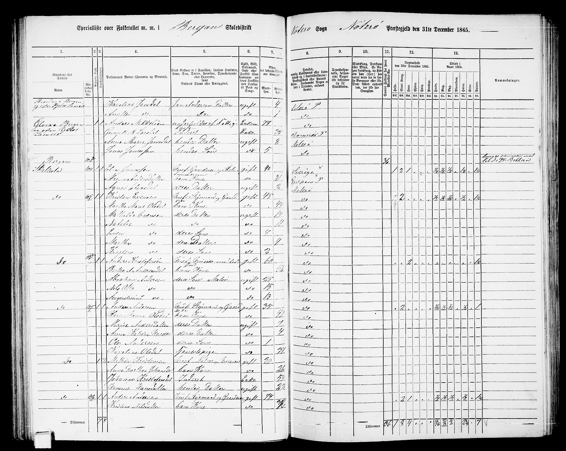 RA, 1865 census for Nøtterøy, 1865, p. 83