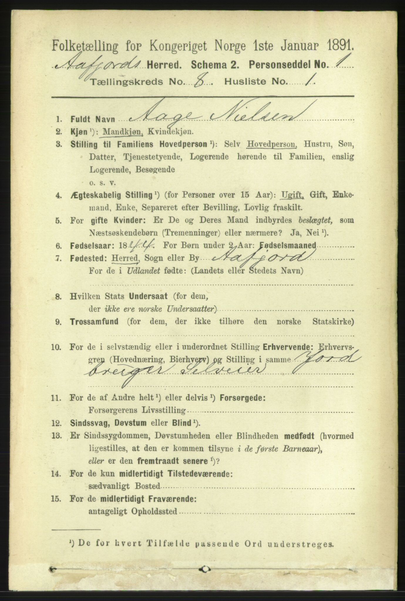 RA, 1891 census for 1630 Åfjord, 1891, p. 1982