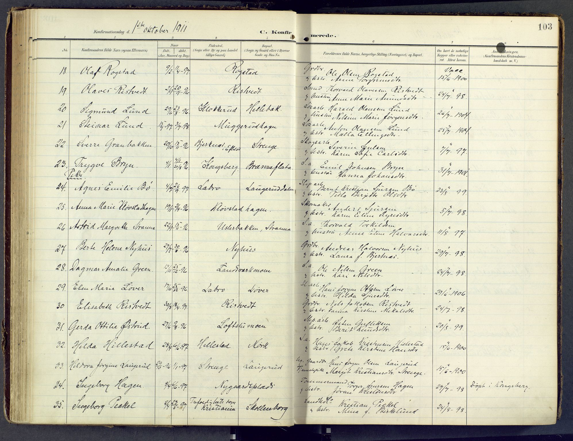 Sandsvær kirkebøker, SAKO/A-244/F/Fd/L0002: Parish register (official) no. IV 2, 1906-1943, p. 103