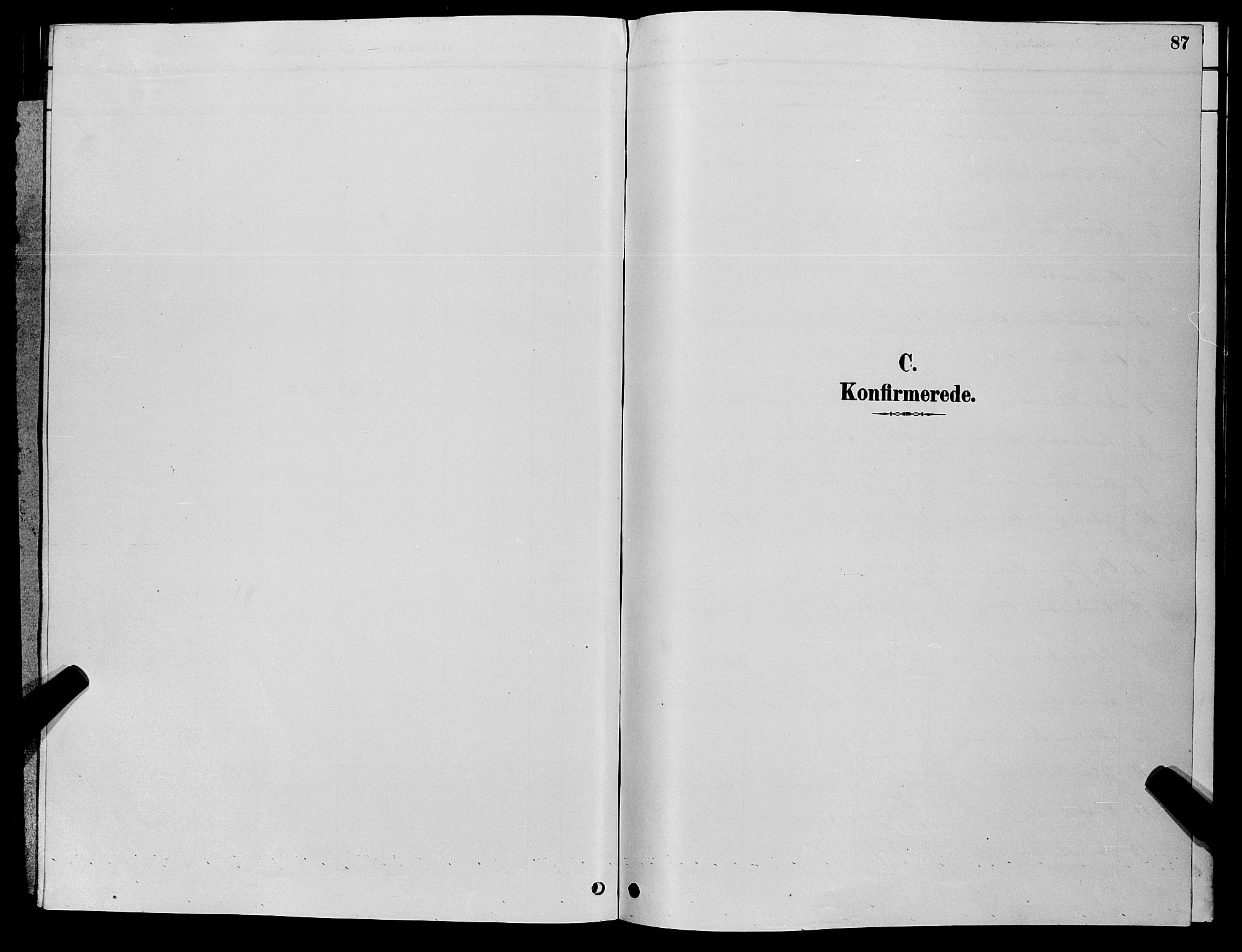 Søgne sokneprestkontor, SAK/1111-0037/F/Fb/Fbb/L0005: Parish register (copy) no. B 5, 1884-1891, p. 87