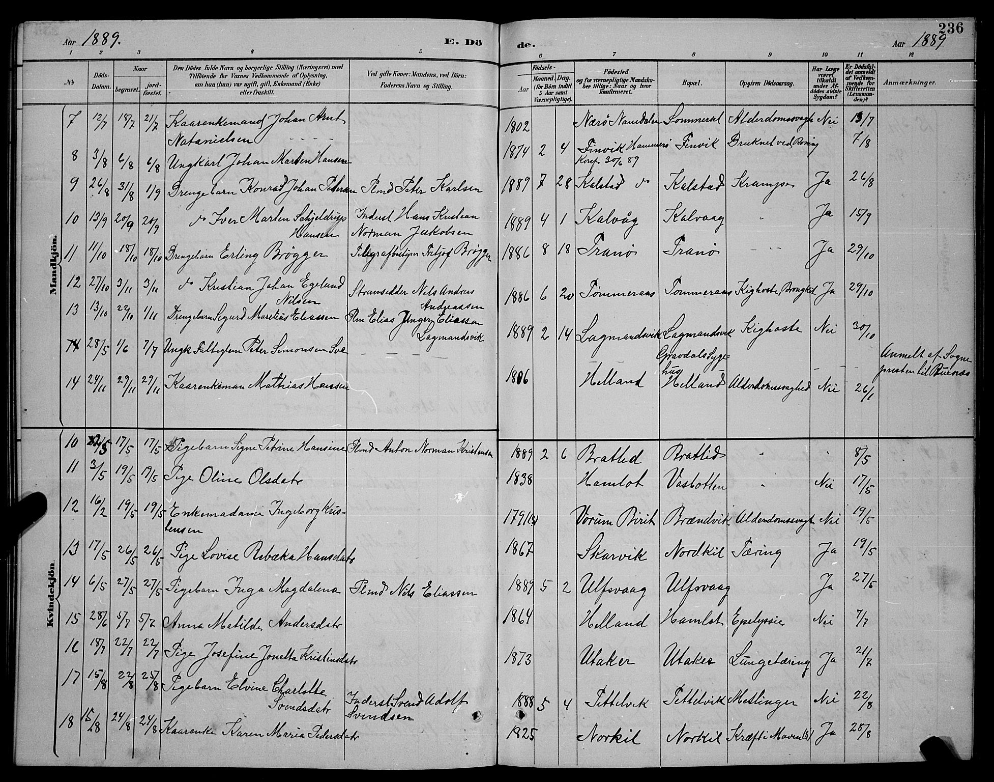 Ministerialprotokoller, klokkerbøker og fødselsregistre - Nordland, SAT/A-1459/859/L0859: Parish register (copy) no. 859C05, 1887-1898, p. 236