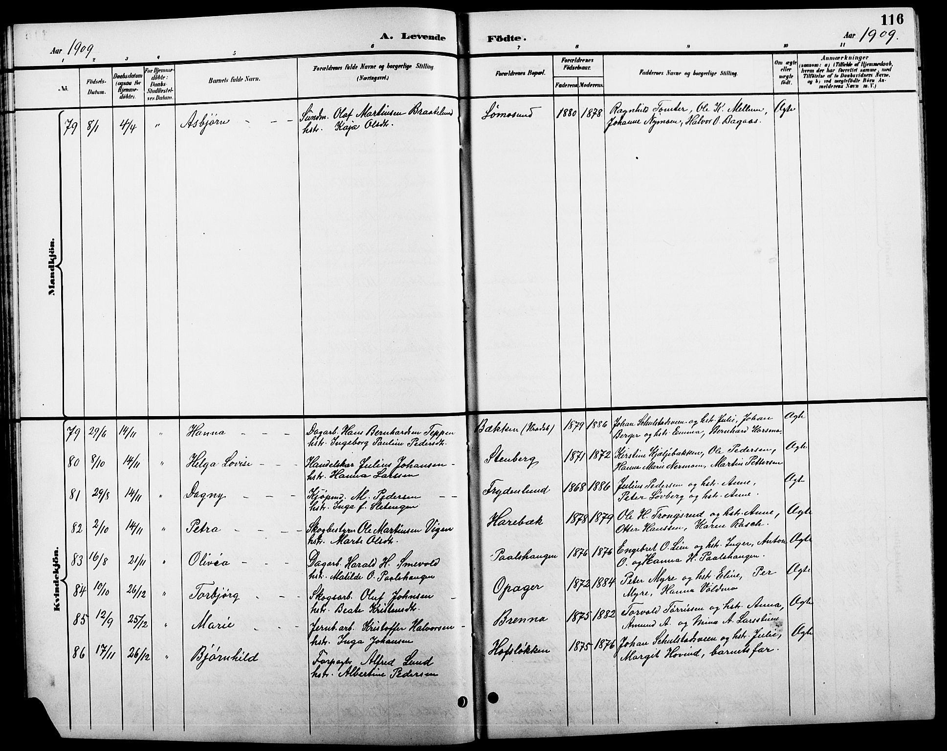 Elverum prestekontor, SAH/PREST-044/H/Ha/Hab/L0005: Parish register (copy) no. 5, 1896-1915, p. 116