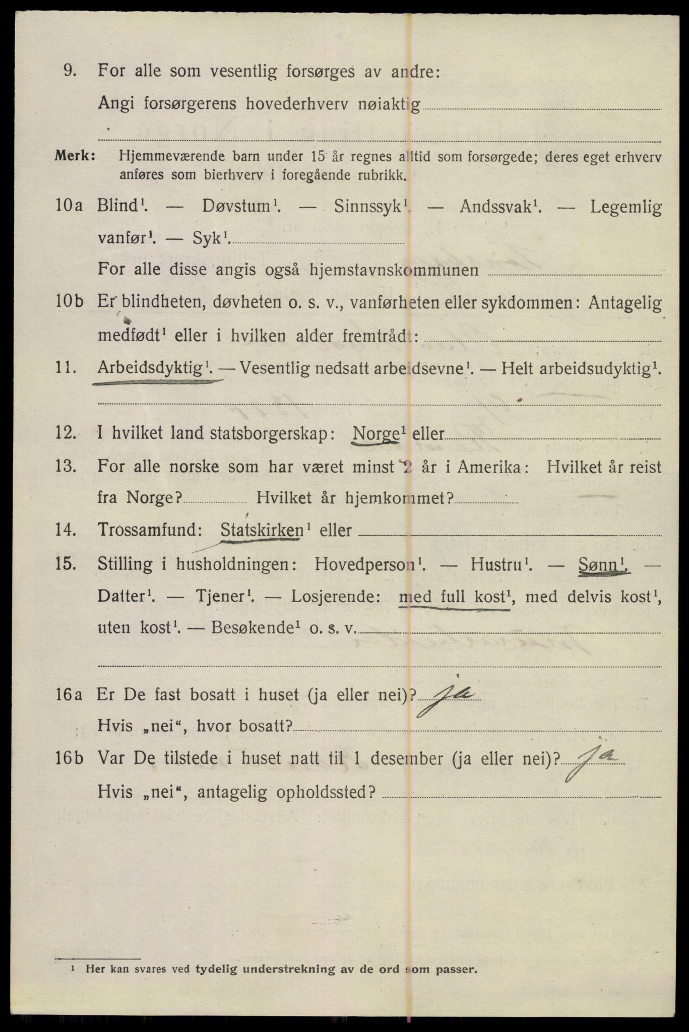 SAKO, 1920 census for Tønsberg, 1920, p. 11028