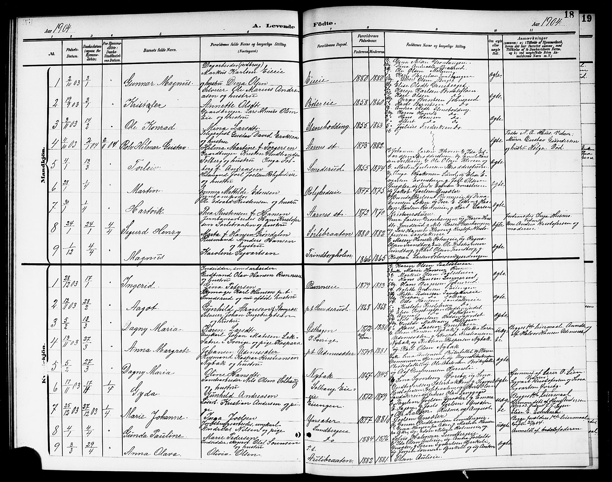 Nes prestekontor Kirkebøker, AV/SAO-A-10410/G/Gc/L0001: Parish register (copy) no. III 1, 1901-1917, p. 18