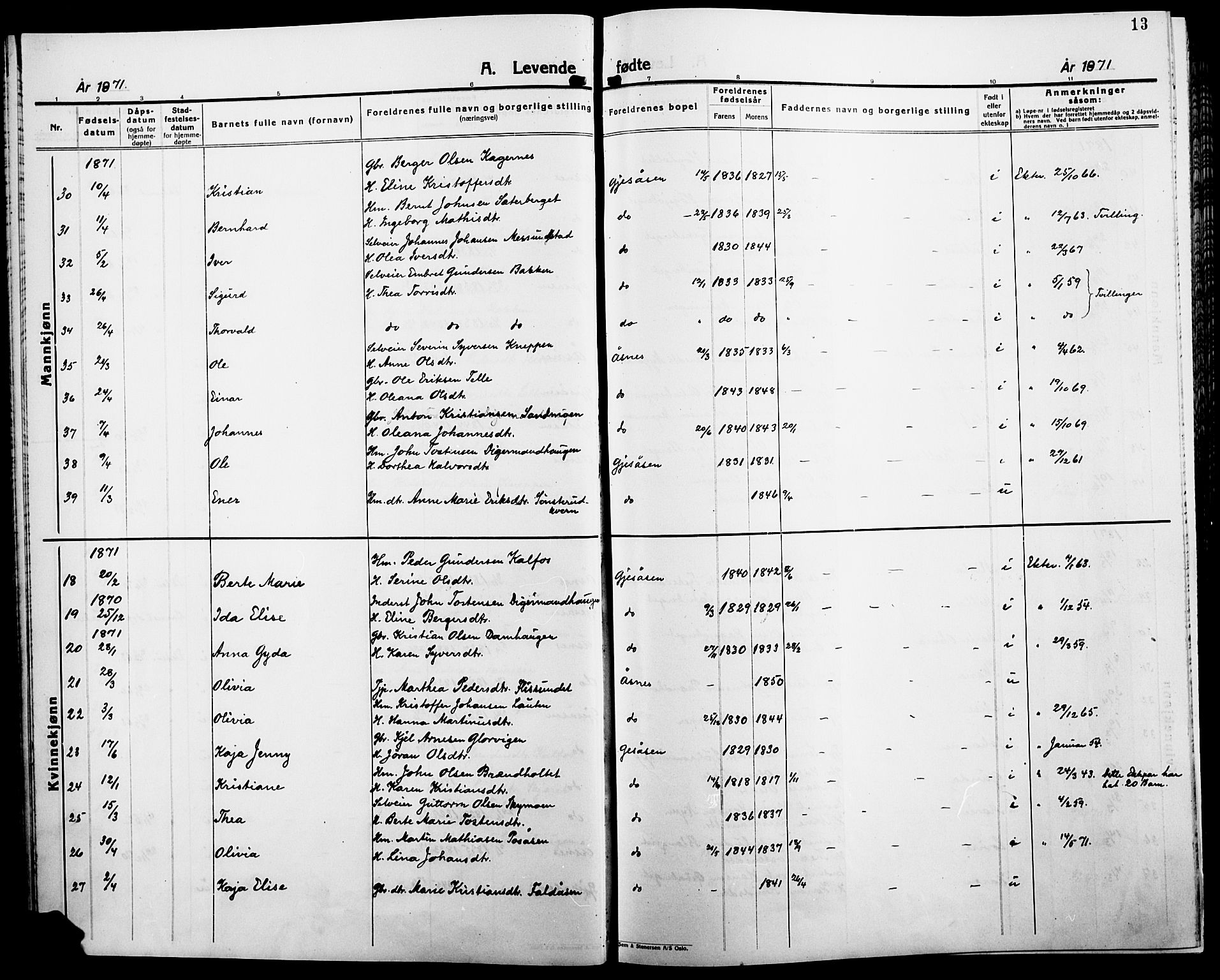 Åsnes prestekontor, SAH/PREST-042/H/Ha/Haa/L0000B: Parish register (official), 1870-1889, p. 13
