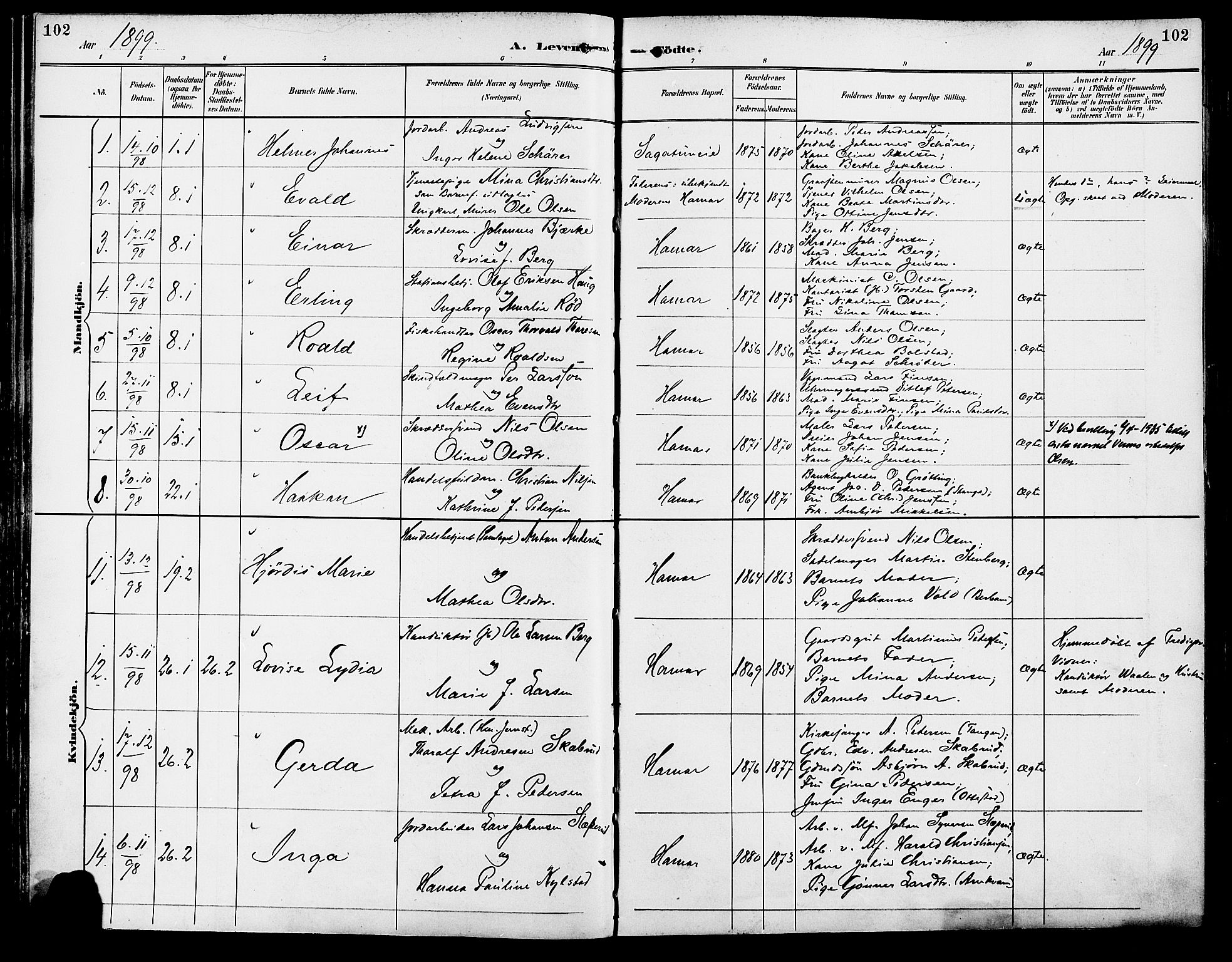 Vang prestekontor, Hedmark, SAH/PREST-008/H/Ha/Haa/L0017: Parish register (official) no. 17, 1890-1899, p. 102