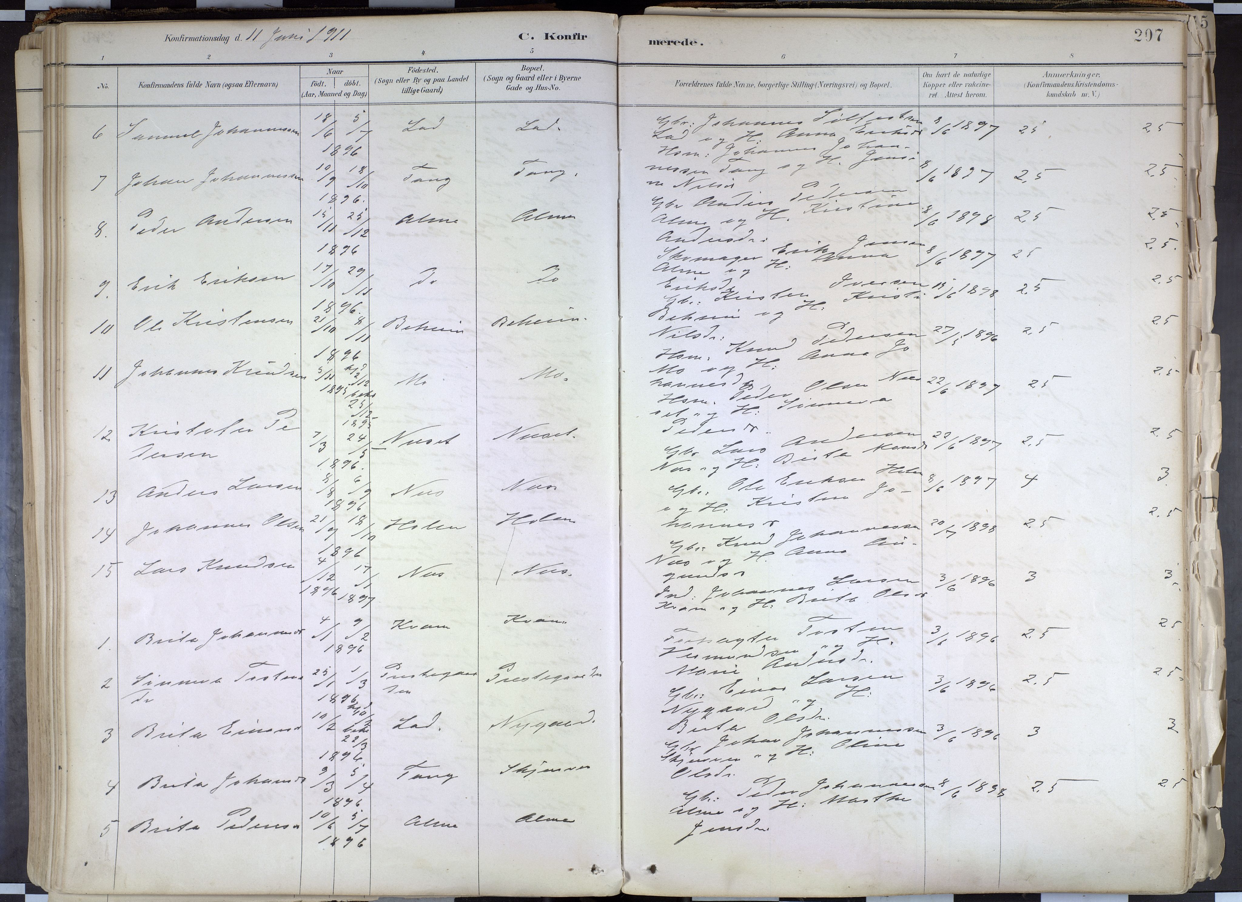 Hafslo sokneprestembete, SAB/A-80301/H/Haa/Haab/L0001: Parish register (official) no. B 1, 1886-1945, p. 207
