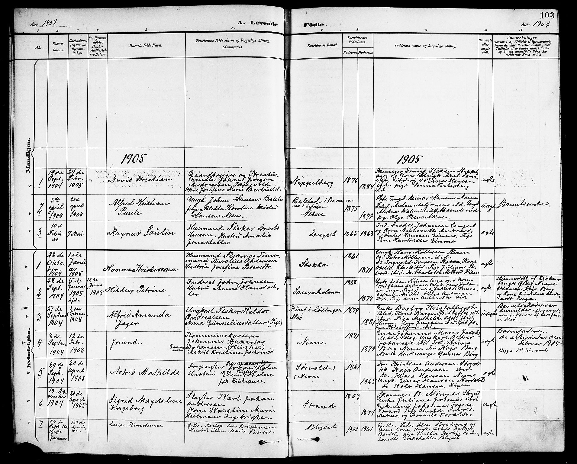 Ministerialprotokoller, klokkerbøker og fødselsregistre - Nordland, SAT/A-1459/838/L0559: Parish register (copy) no. 838C06, 1893-1910, p. 103