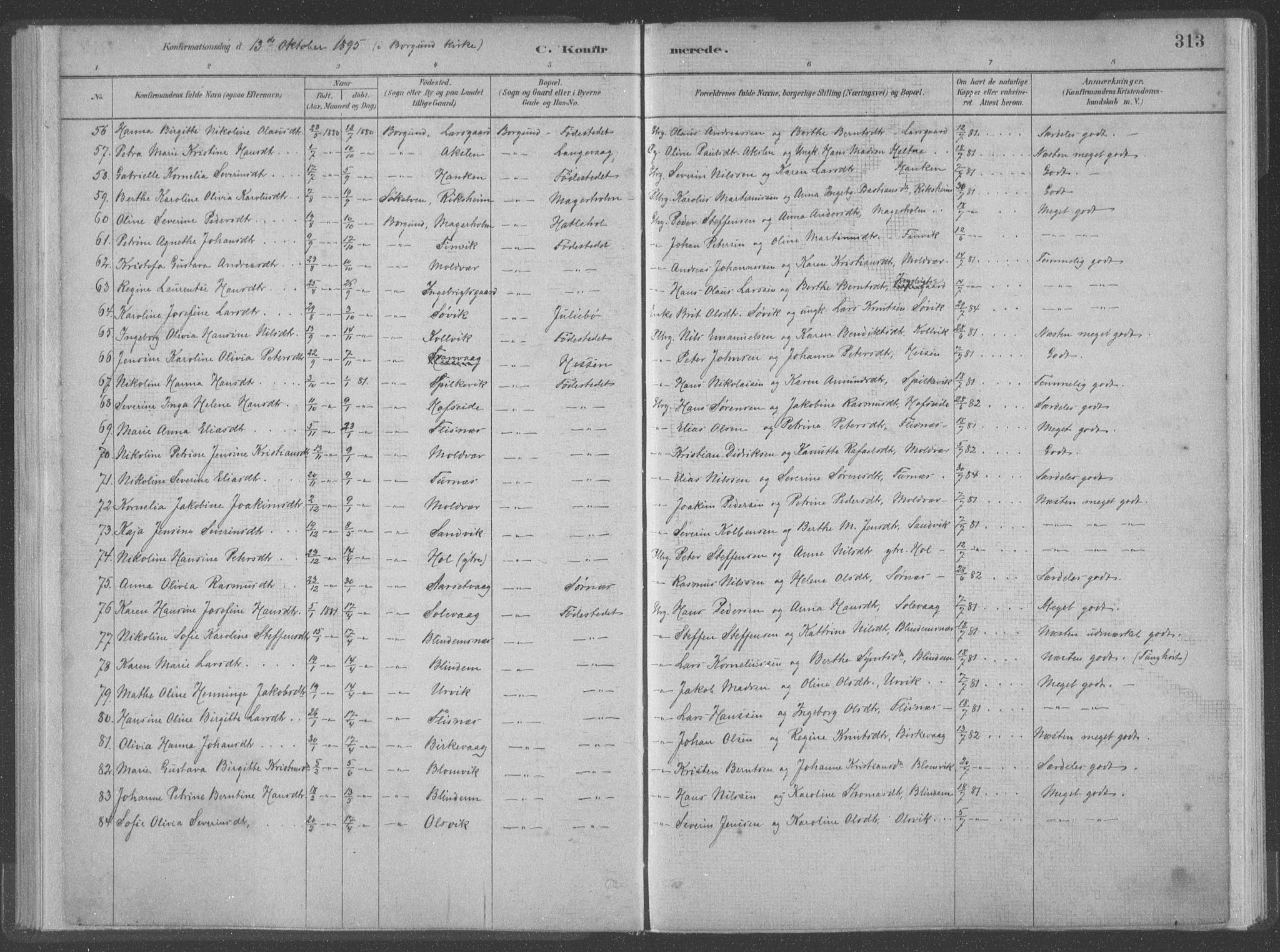 Ministerialprotokoller, klokkerbøker og fødselsregistre - Møre og Romsdal, AV/SAT-A-1454/528/L0402: Parish register (official) no. 528A12II, 1880-1903, p. 313