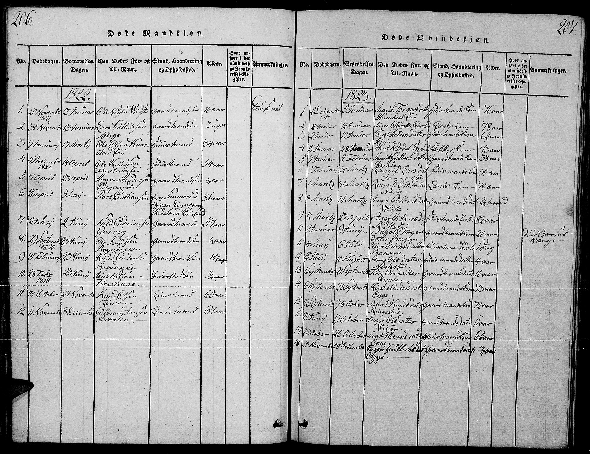 Slidre prestekontor, SAH/PREST-134/H/Ha/Hab/L0001: Parish register (copy) no. 1, 1814-1838, p. 206-207