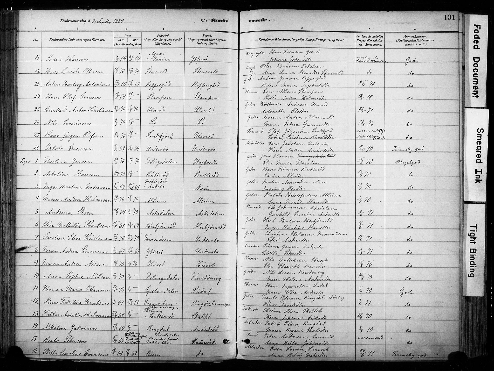 Hedrum kirkebøker, AV/SAKO-A-344/F/Fa/L0009: Parish register (official) no. I 9, 1881-1903, p. 131