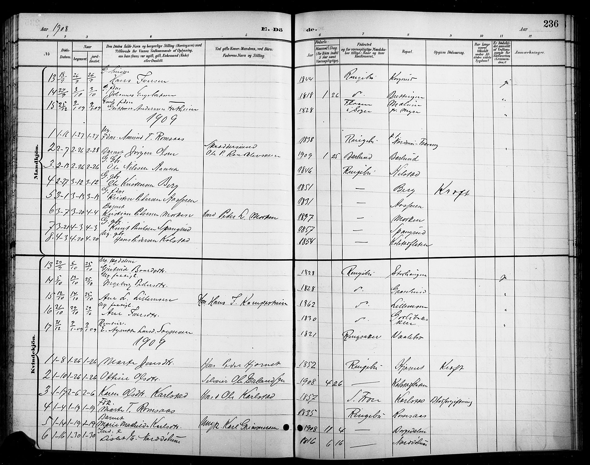 Ringebu prestekontor, AV/SAH-PREST-082/H/Ha/Hab/L0009: Parish register (copy) no. 9, 1899-1921, p. 236