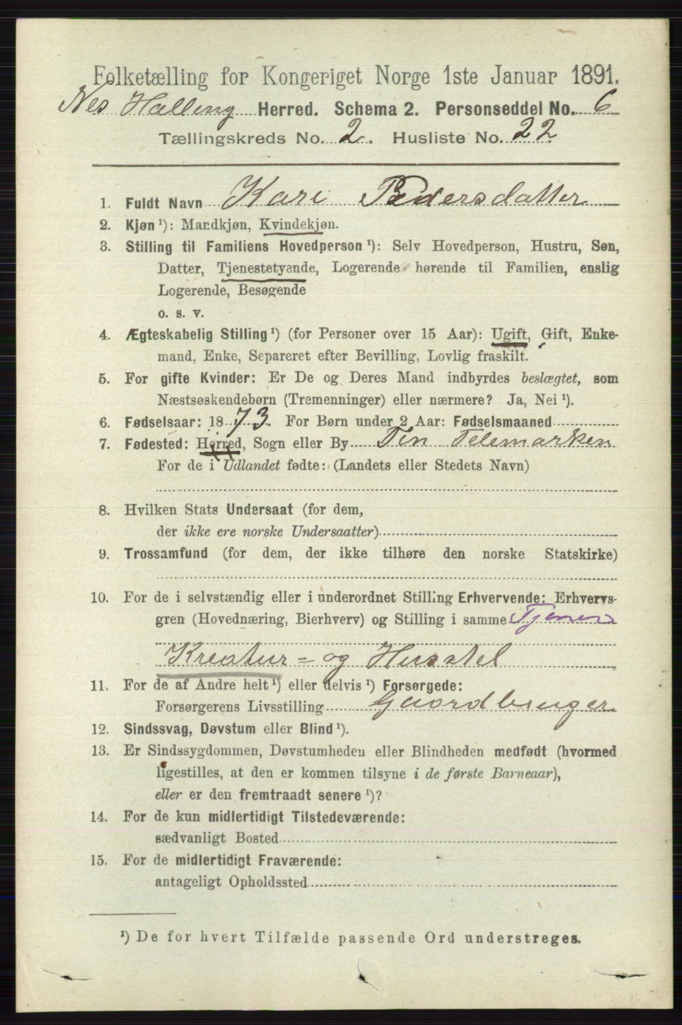 RA, 1891 census for 0616 Nes, 1891, p. 1105