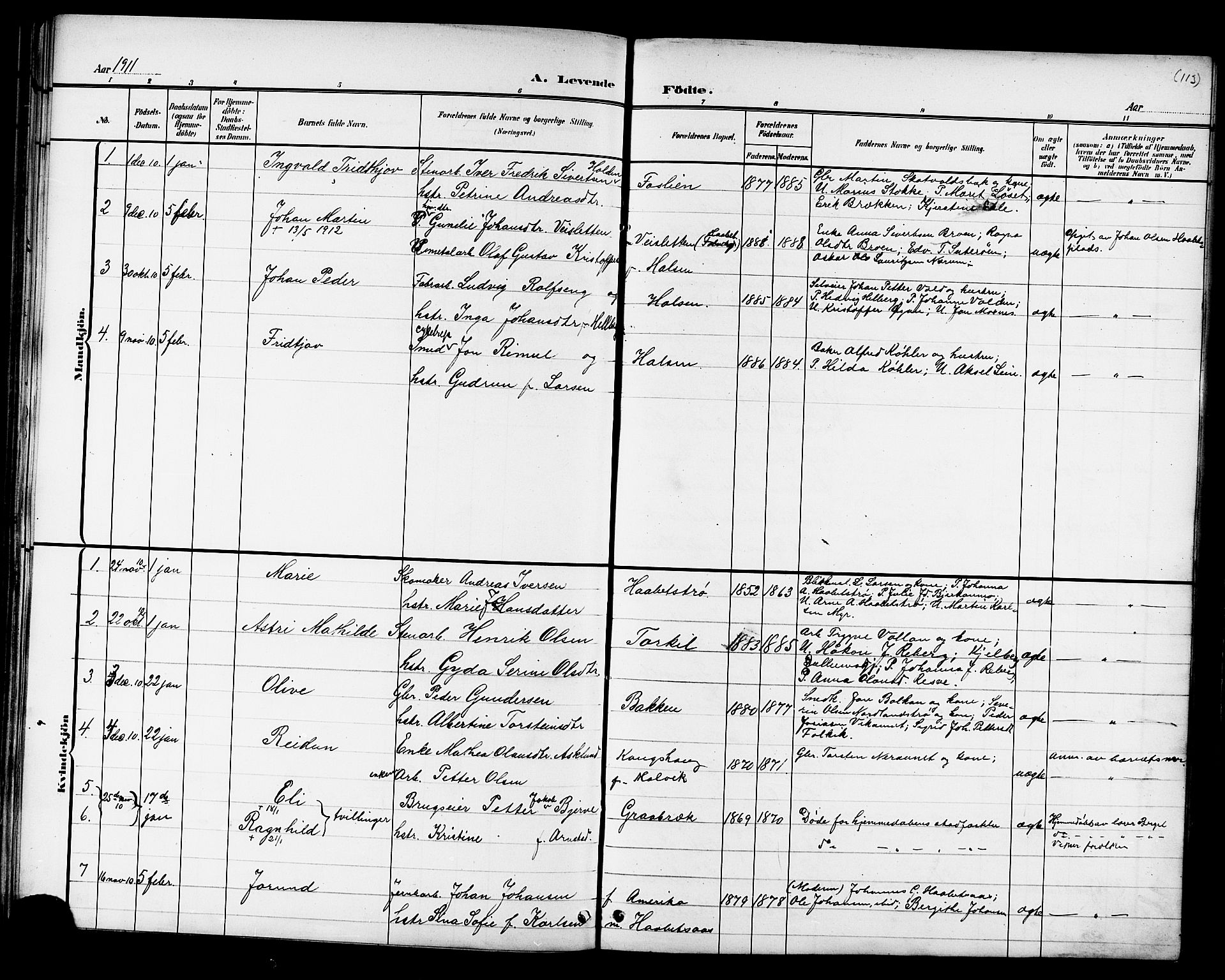 Ministerialprotokoller, klokkerbøker og fødselsregistre - Nord-Trøndelag, AV/SAT-A-1458/709/L0087: Parish register (copy) no. 709C01, 1892-1913, p. 113