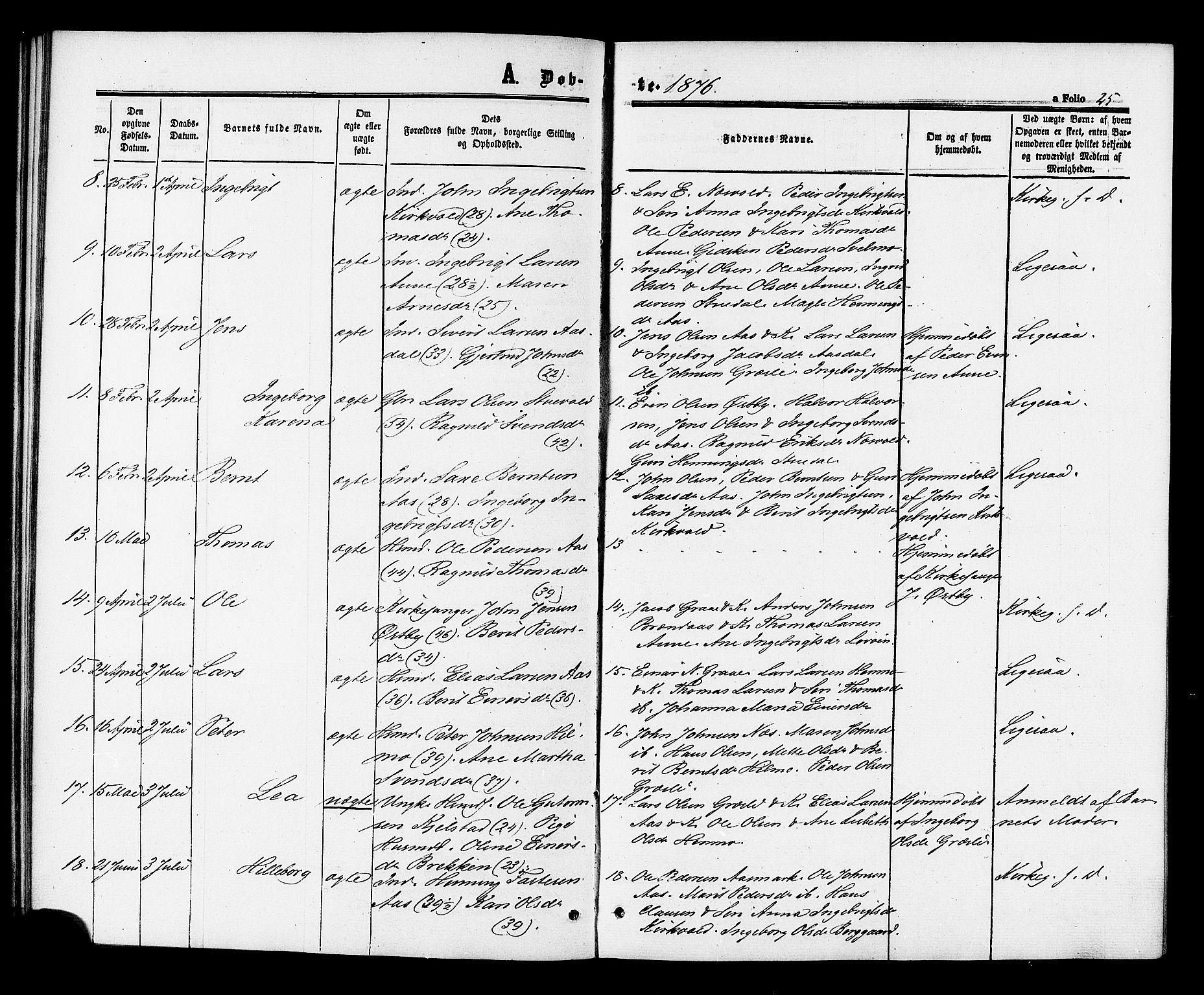 Ministerialprotokoller, klokkerbøker og fødselsregistre - Sør-Trøndelag, SAT/A-1456/698/L1163: Parish register (official) no. 698A01, 1862-1887, p. 25