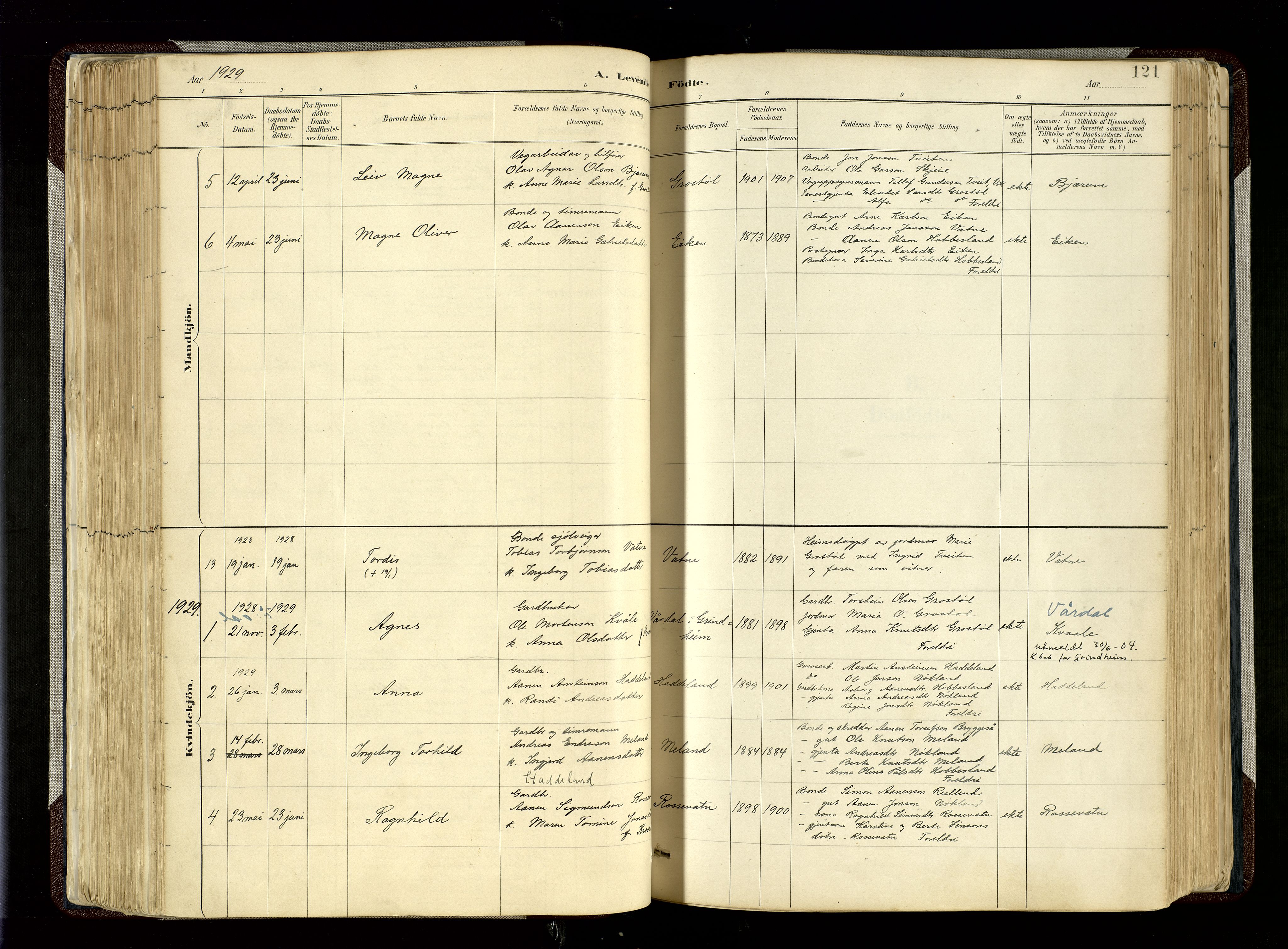 Hægebostad sokneprestkontor, SAK/1111-0024/F/Fa/Fab/L0004: Parish register (official) no. A 4, 1887-1929, p. 121