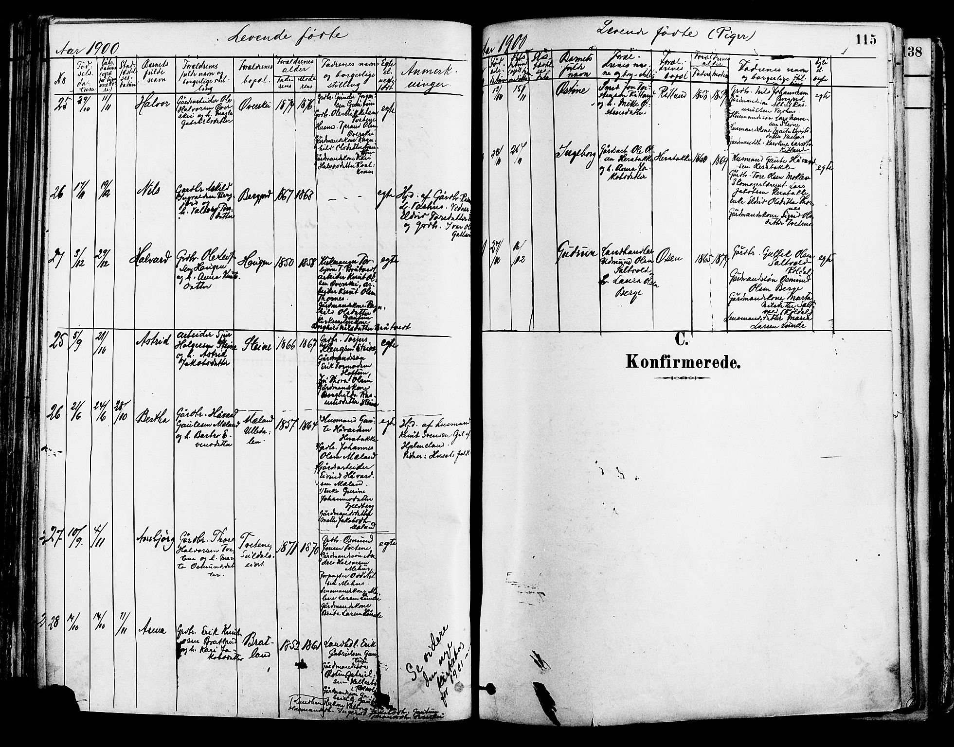Suldal sokneprestkontor, SAST/A-101845/01/IV/L0011: Parish register (official) no. A 11, 1878-1900, p. 115