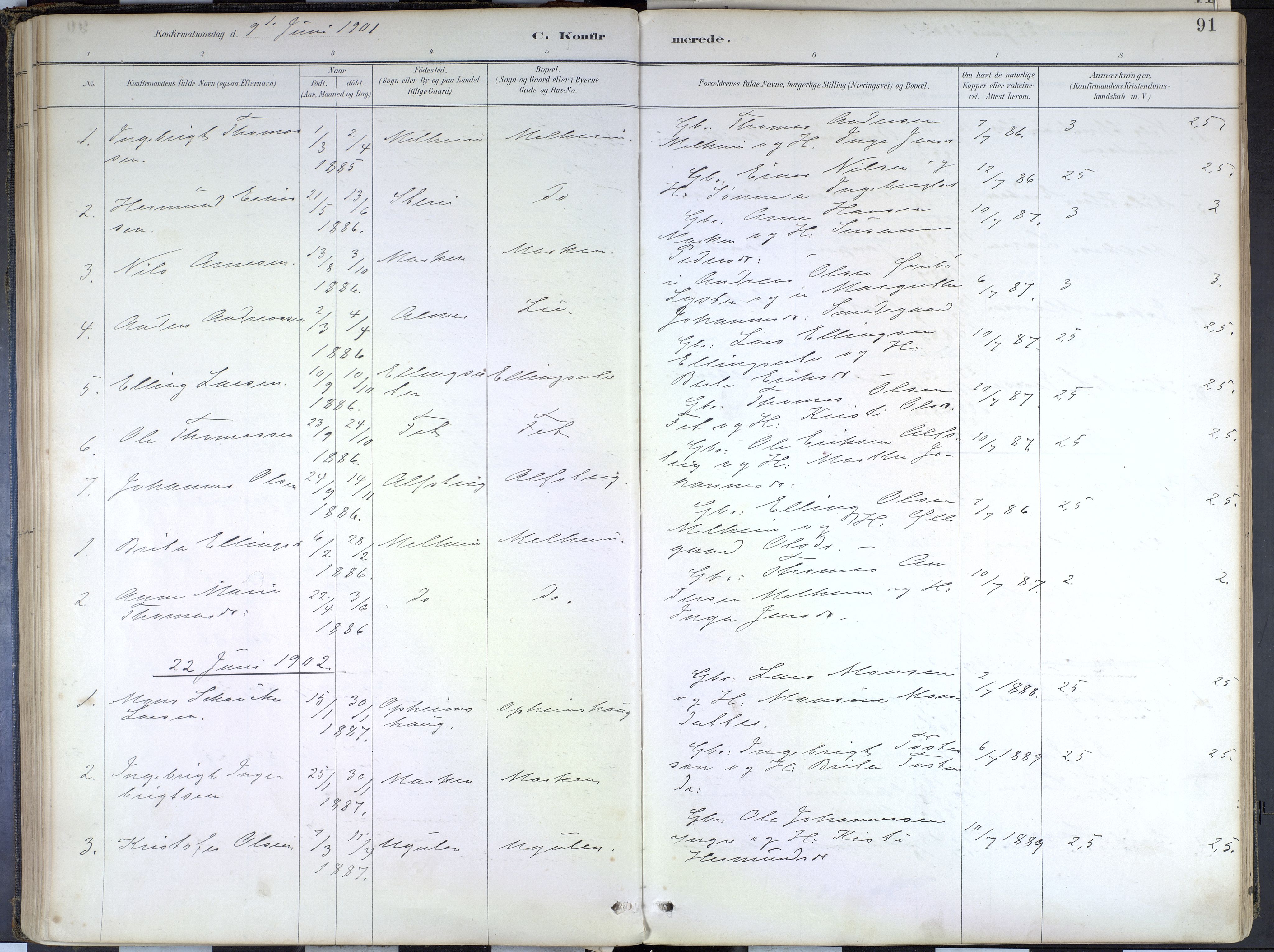 Hafslo sokneprestembete, SAB/A-80301/H/Haa/Haad/L0001: Parish register (official) no. D 1, 1886-1934, p. 91