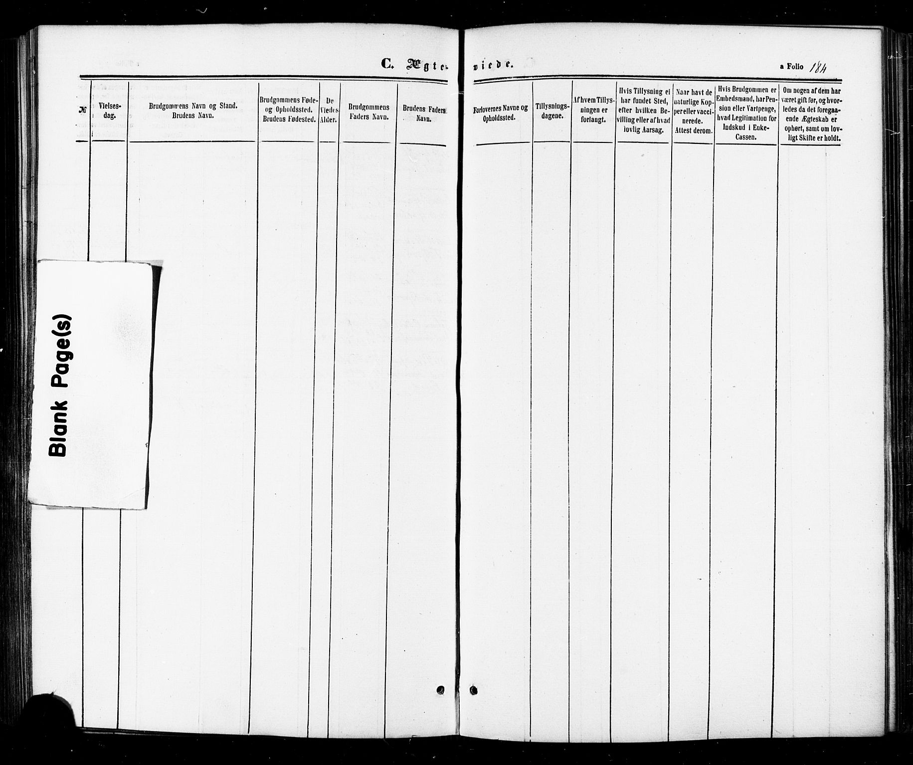 Ministerialprotokoller, klokkerbøker og fødselsregistre - Sør-Trøndelag, SAT/A-1456/674/L0870: Parish register (official) no. 674A02, 1861-1879, p. 184