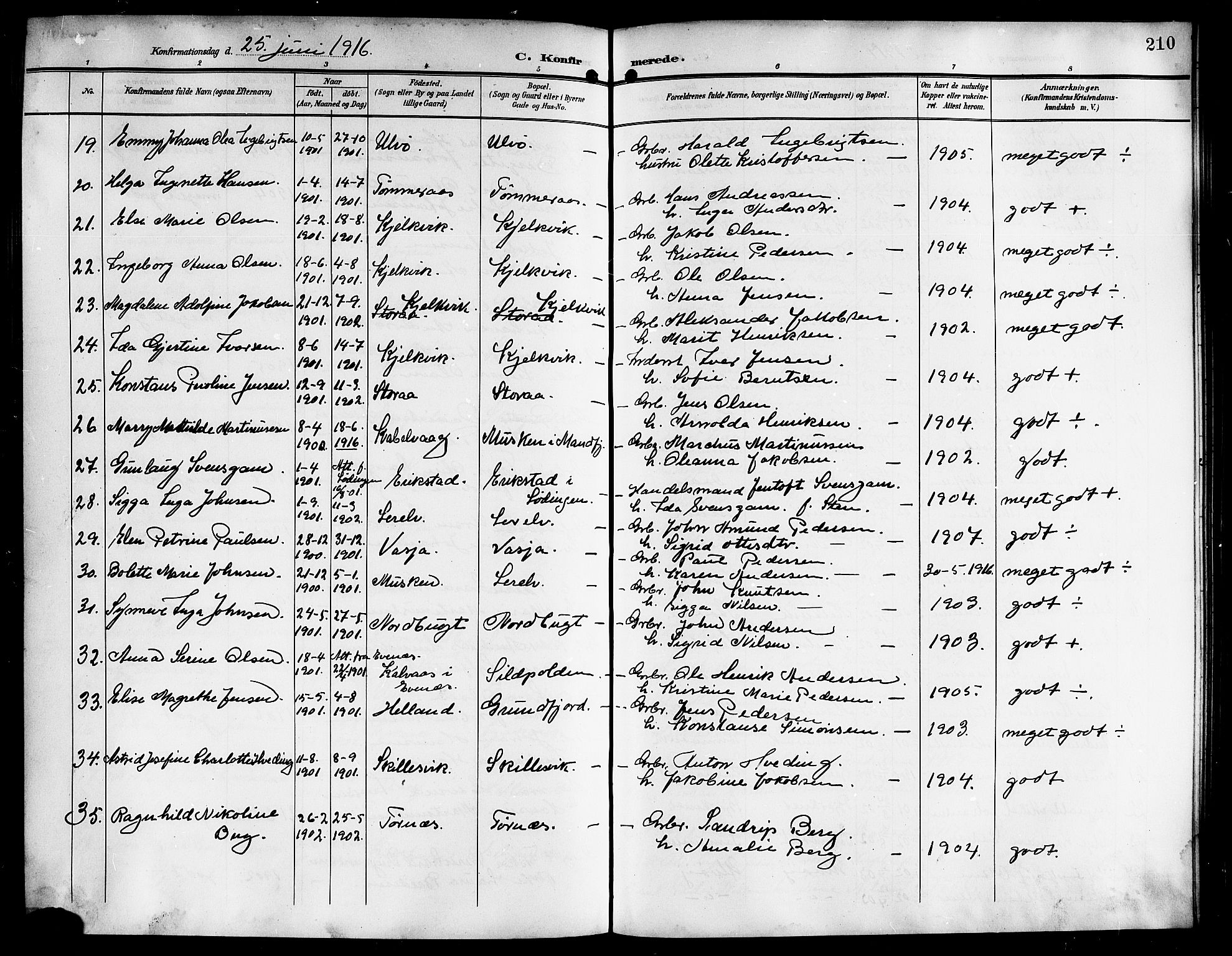 Ministerialprotokoller, klokkerbøker og fødselsregistre - Nordland, AV/SAT-A-1459/861/L0877: Parish register (copy) no. 861C03, 1903-1919, p. 210