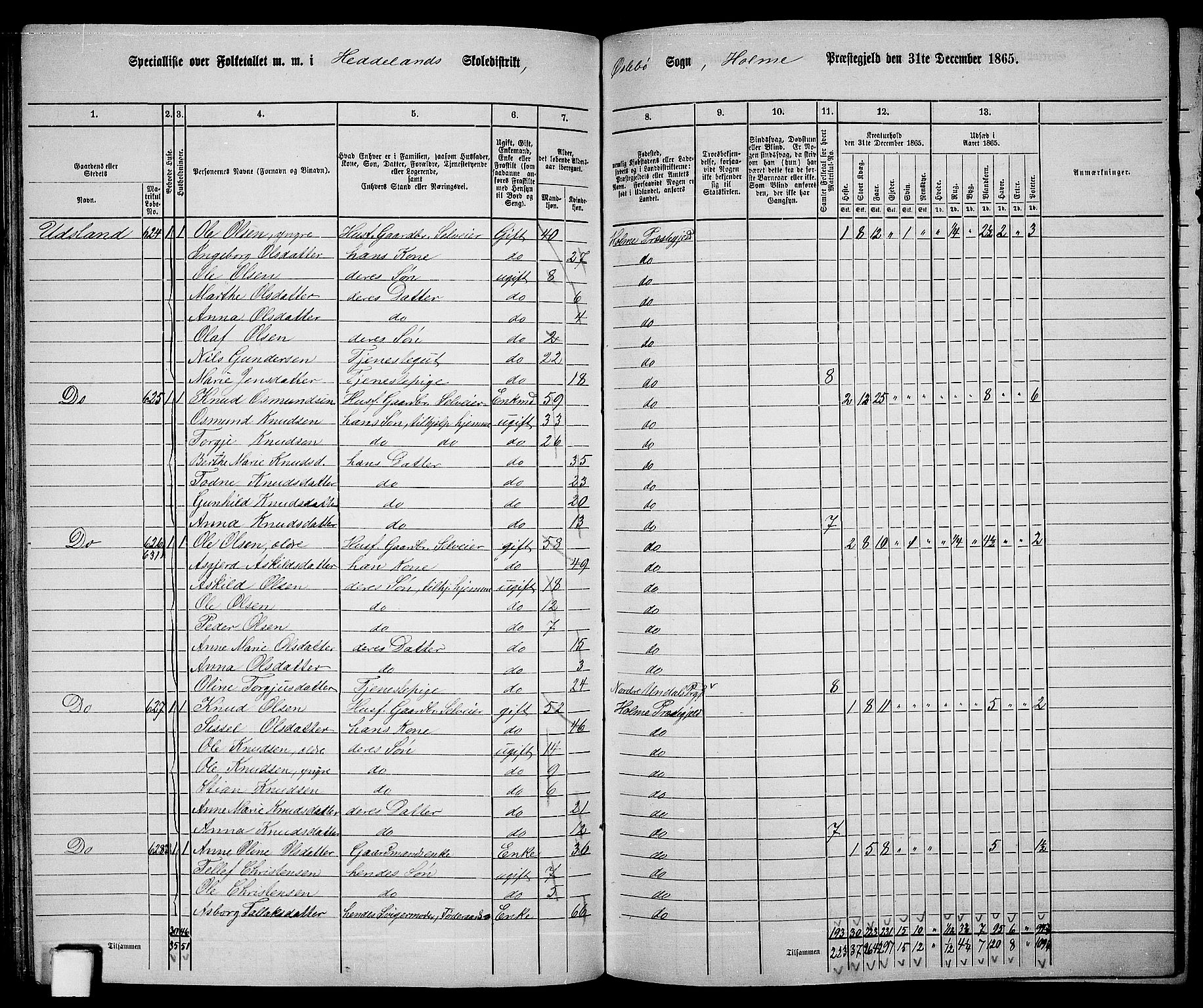 RA, 1865 census for Holum, 1865, p. 95