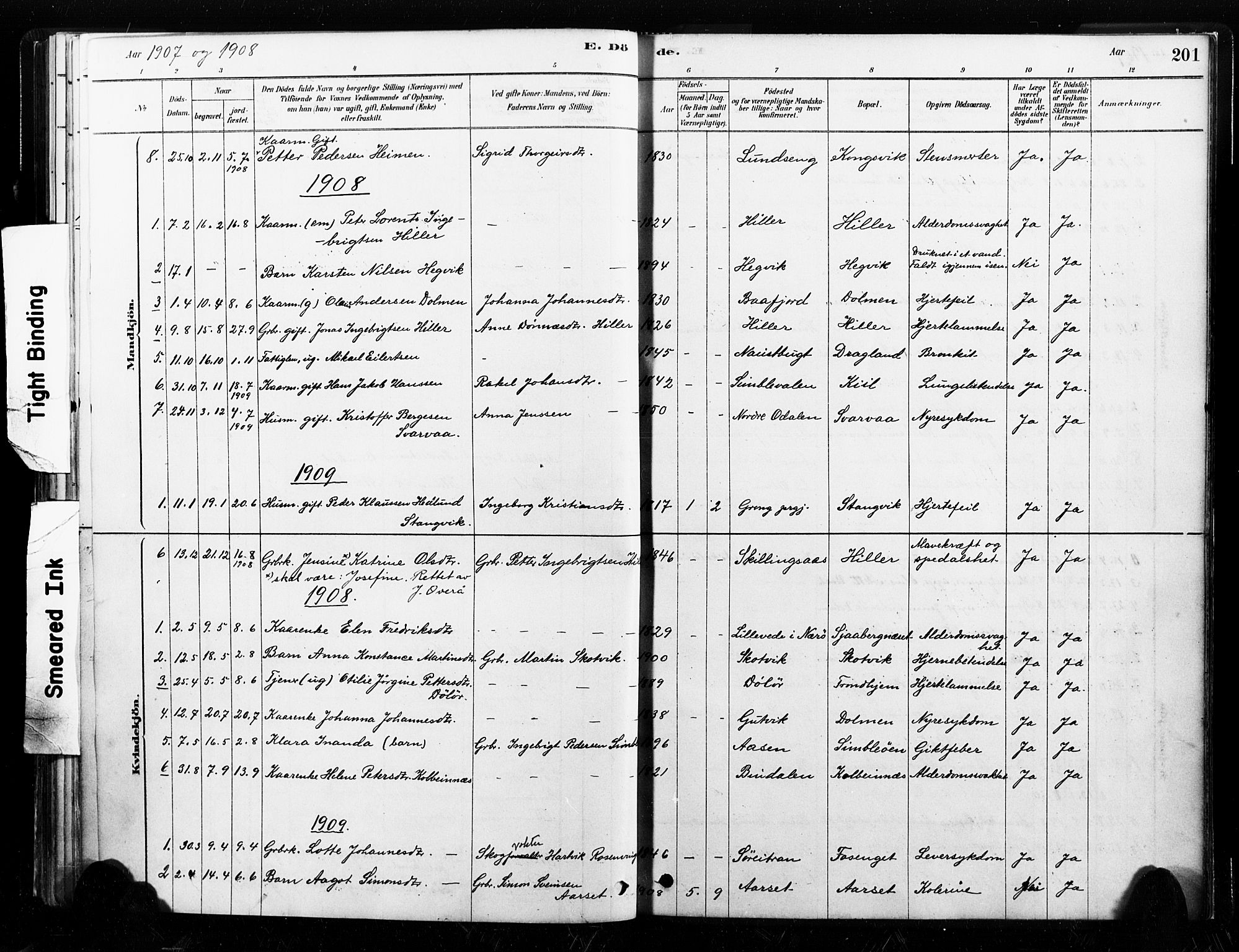 Ministerialprotokoller, klokkerbøker og fødselsregistre - Nord-Trøndelag, SAT/A-1458/789/L0705: Parish register (official) no. 789A01, 1878-1910, p. 201