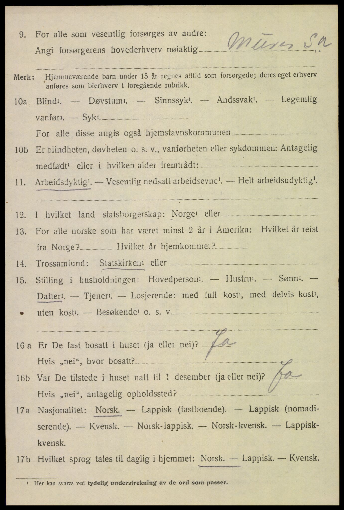 SAT, 1920 census for Bodin, 1920, p. 6881