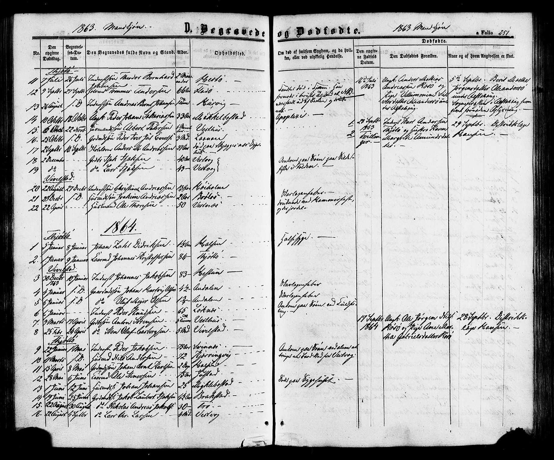 Ministerialprotokoller, klokkerbøker og fødselsregistre - Nordland, SAT/A-1459/817/L0262: Parish register (official) no. 817A03/ 1, 1862-1877, p. 251