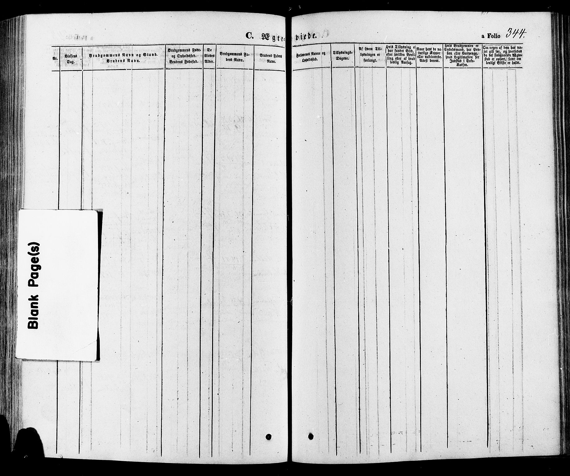 Gausdal prestekontor, SAH/PREST-090/H/Ha/Haa/L0010: Parish register (official) no. 10, 1867-1886, p. 344