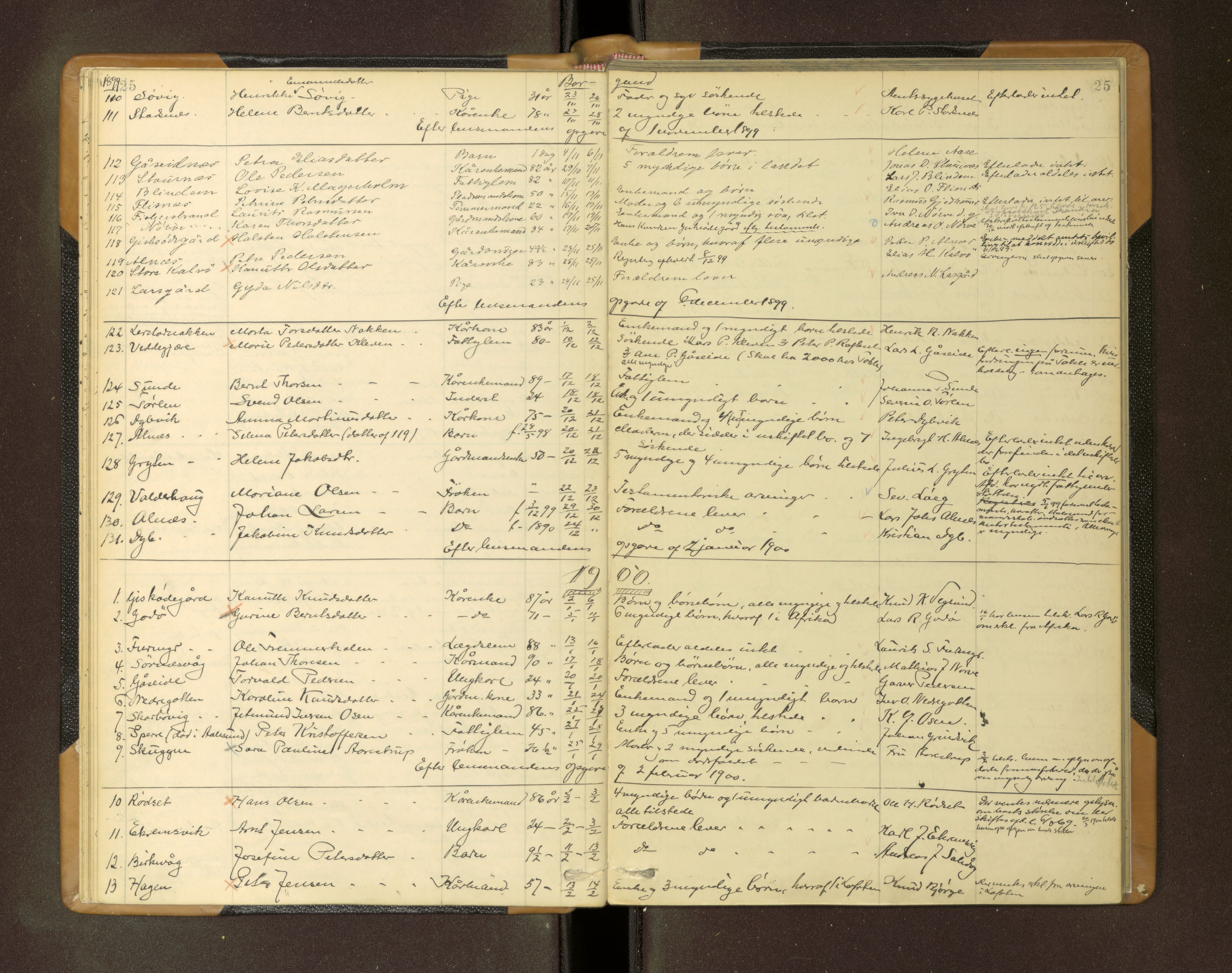 Nordre Sunnmøre sorenskriveri, AV/SAT-A-0006/1/3/3L/L0005: Dødsfallsprotokoll, 1893-1901, p. 25