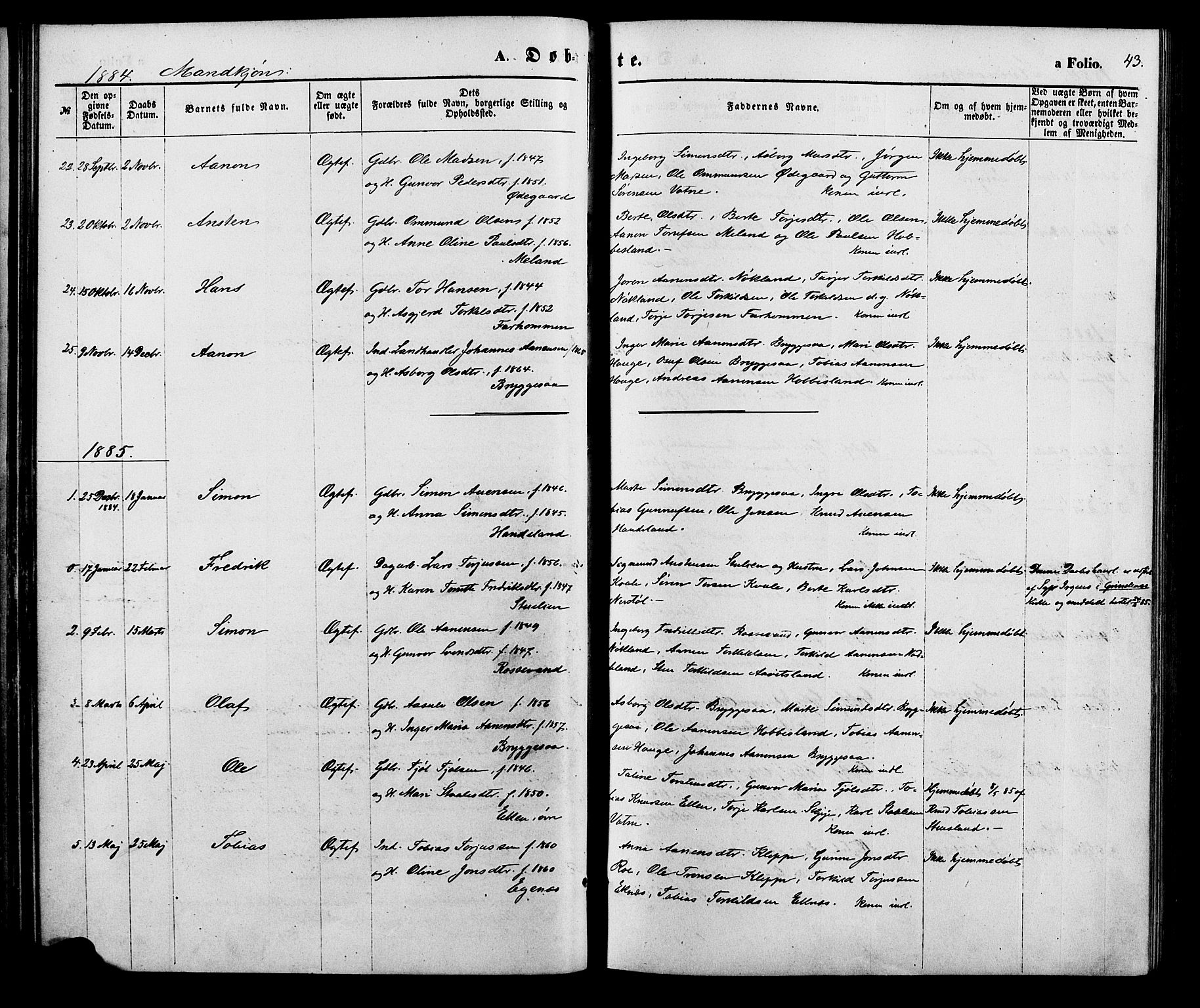 Hægebostad sokneprestkontor, SAK/1111-0024/F/Fa/Fab/L0003: Parish register (official) no. A 3, 1872-1886, p. 43