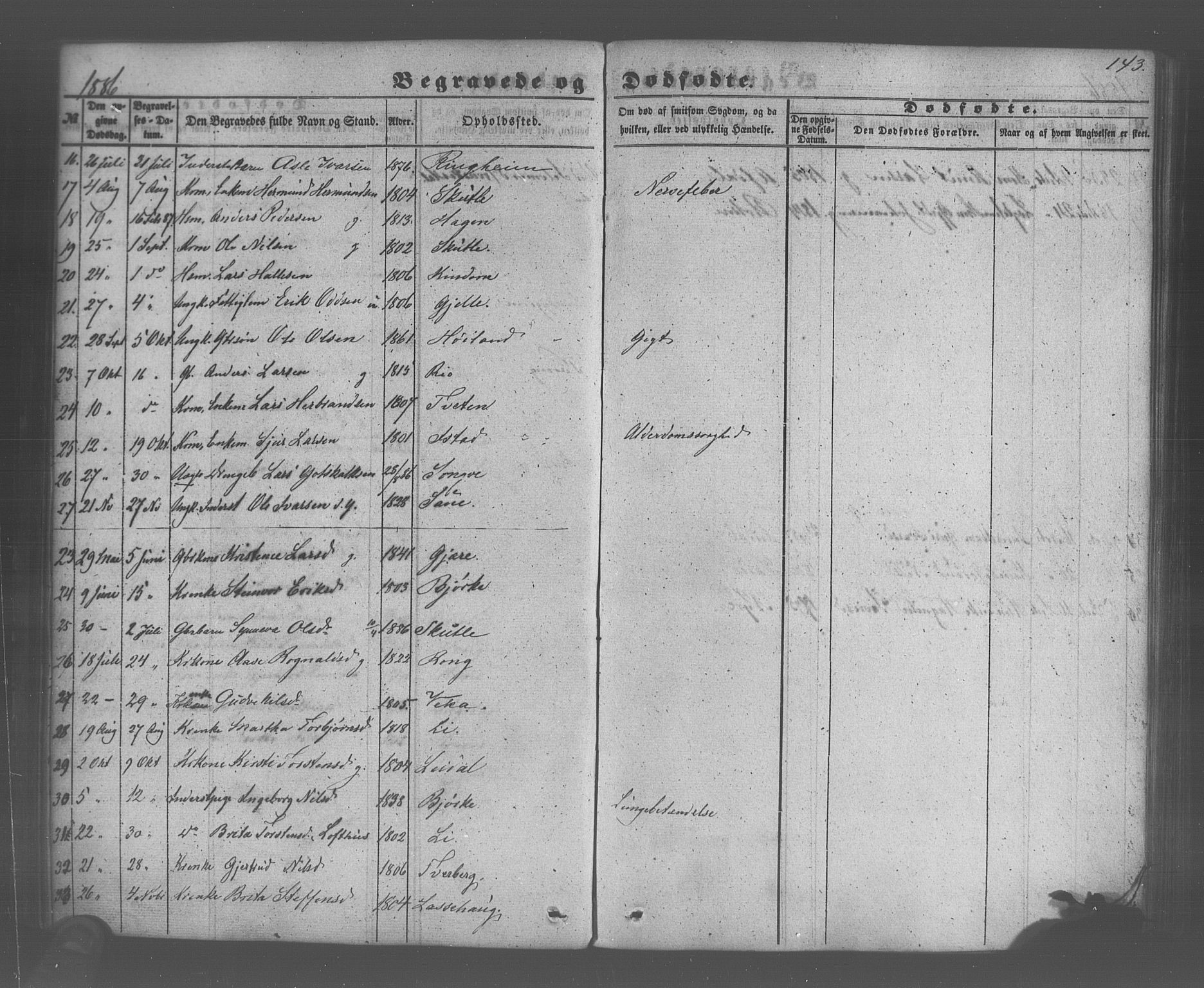 Voss sokneprestembete, AV/SAB-A-79001/H/Haa: Parish register (official) no. A 20, 1855-1886, p. 143