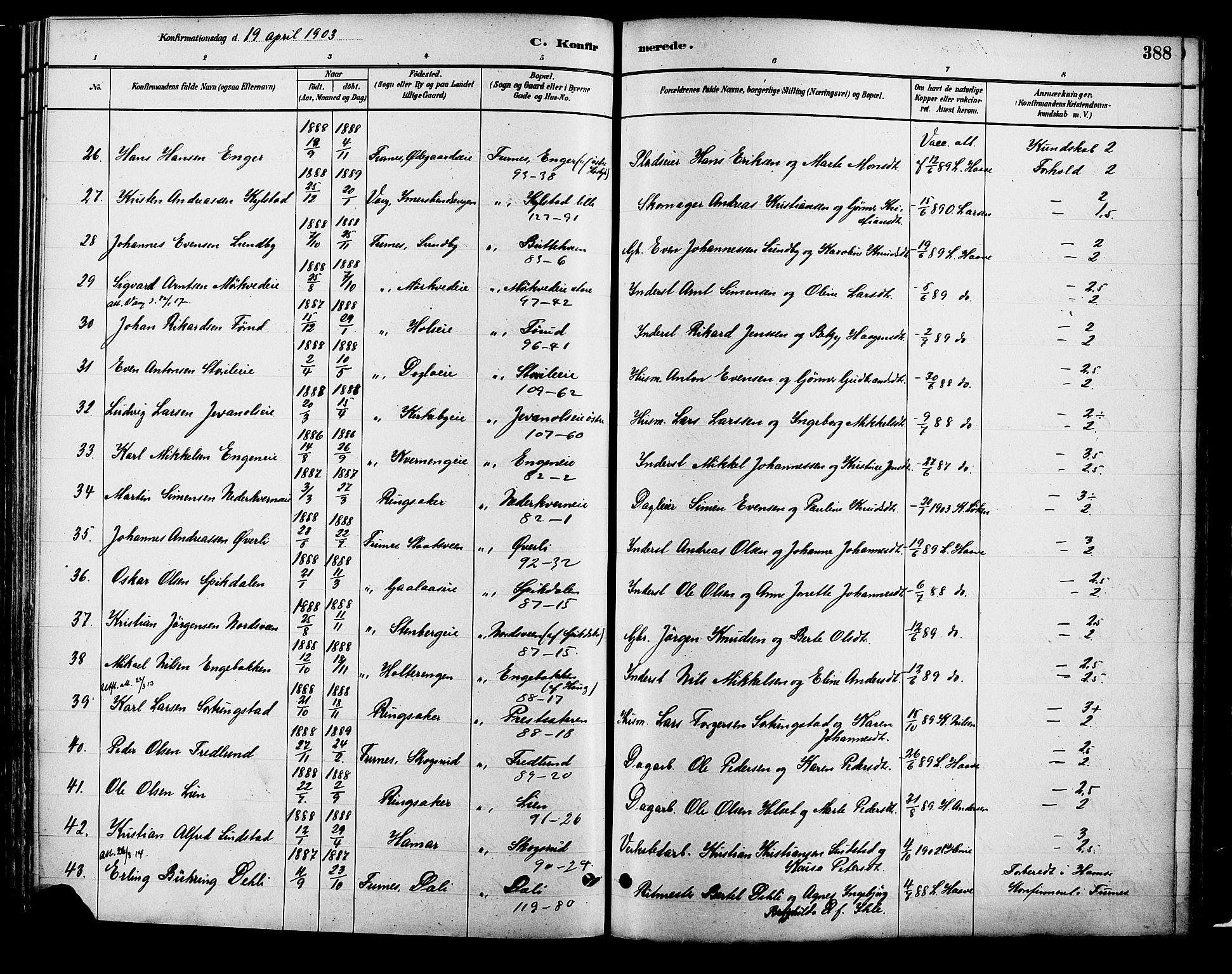 Vang prestekontor, Hedmark, AV/SAH-PREST-008/H/Ha/Haa/L0018B: Parish register (official) no. 18B, 1880-1906, p. 388