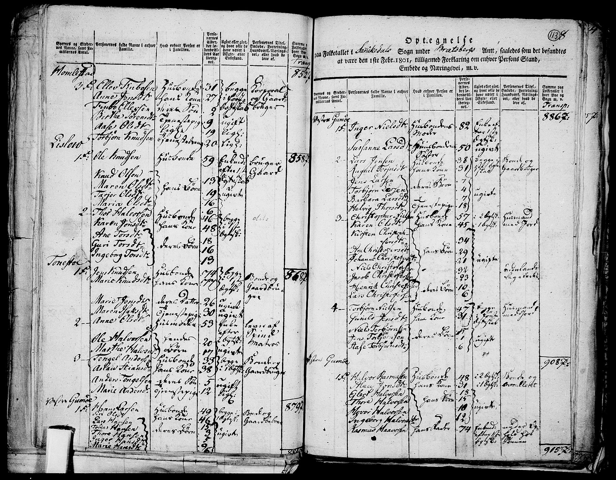 RA, 1801 census for 0801P Kragerø, 1801, p. 112b-113a