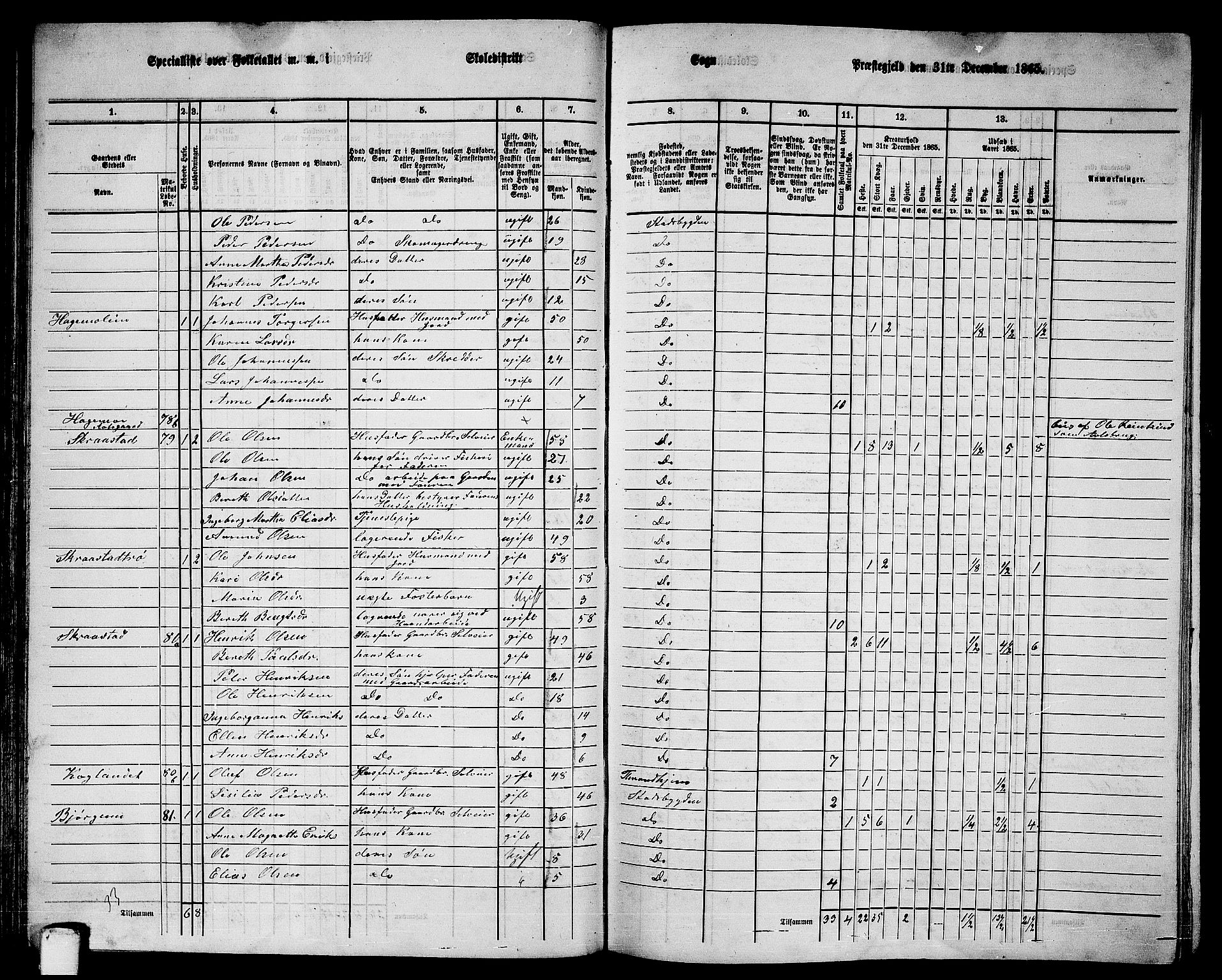 RA, 1865 census for Stadsbygd, 1865, p. 56