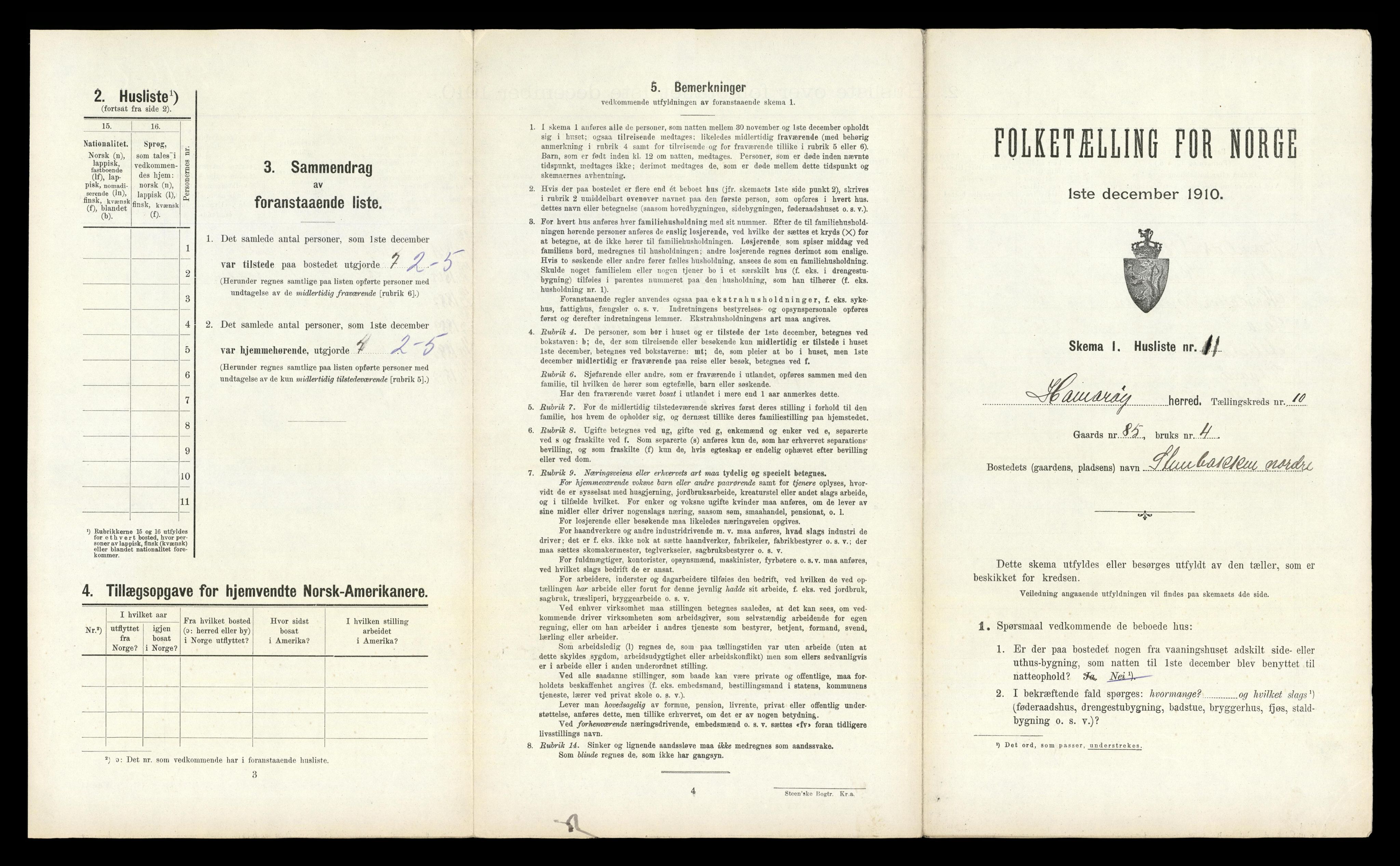 RA, 1910 census for Hamarøy, 1910, p. 1010