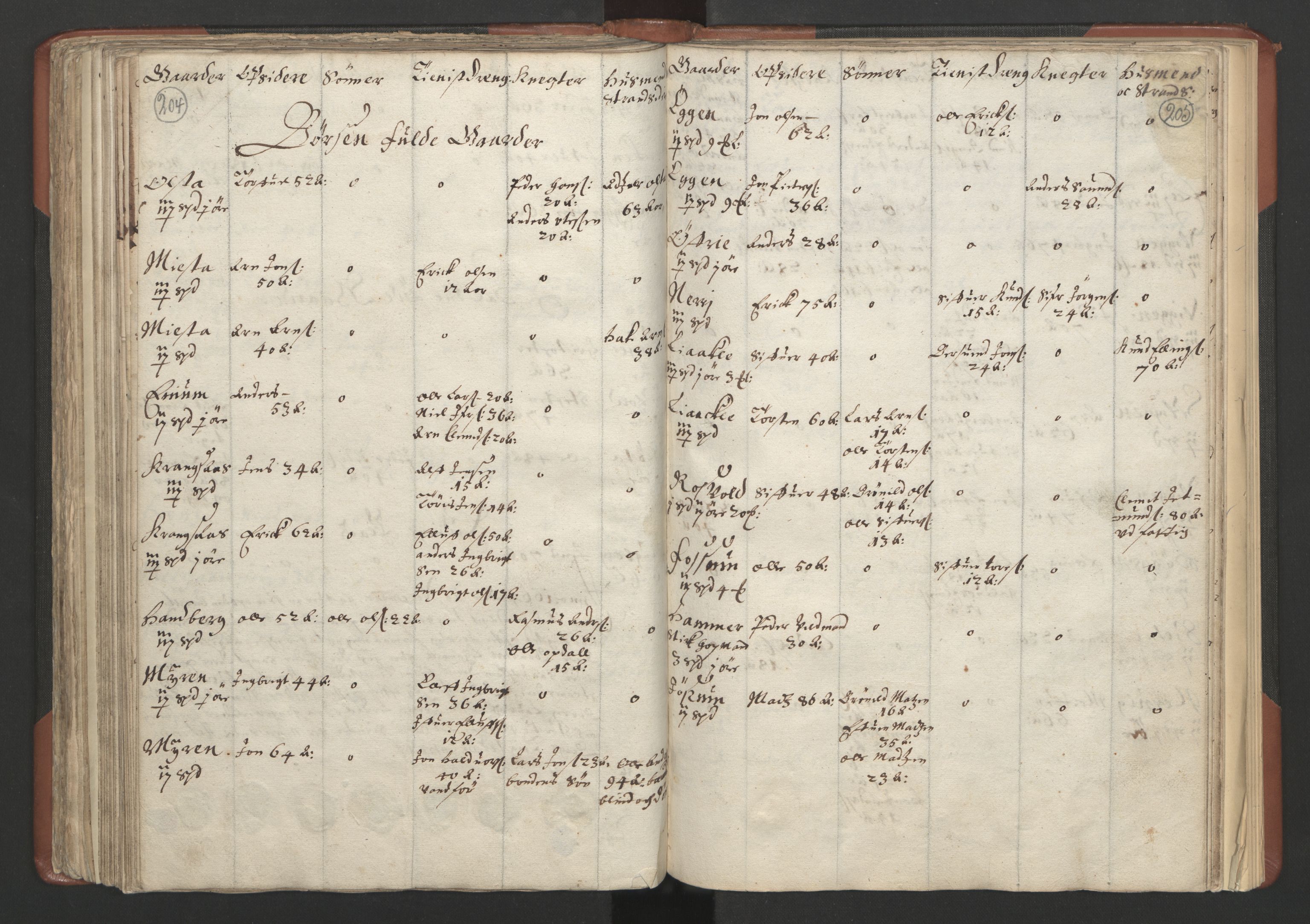 RA, Bailiff's Census 1664-1666, no. 18: Gauldal fogderi, Strinda fogderi and Orkdal fogderi, 1664, p. 204-205