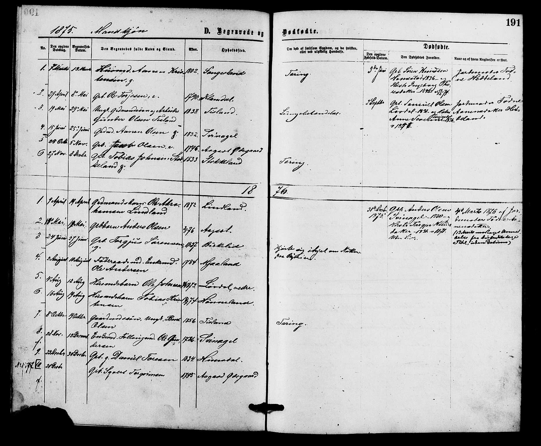 Holum sokneprestkontor, AV/SAK-1111-0022/F/Fa/Fab/L0006: Parish register (official) no. A 6, 1875-1886, p. 191