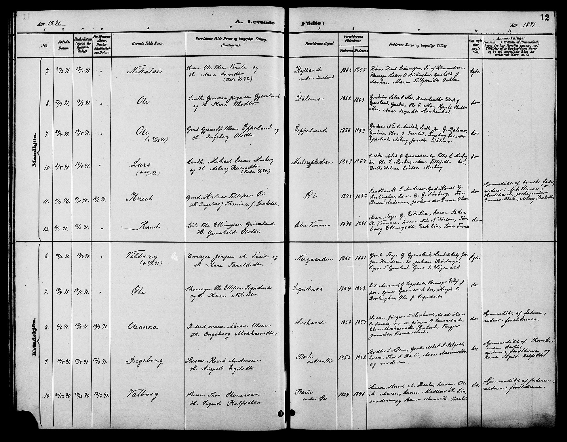 Åmli sokneprestkontor, SAK/1111-0050/F/Fb/Fbc/L0004: Parish register (copy) no. B 4, 1889-1902, p. 12