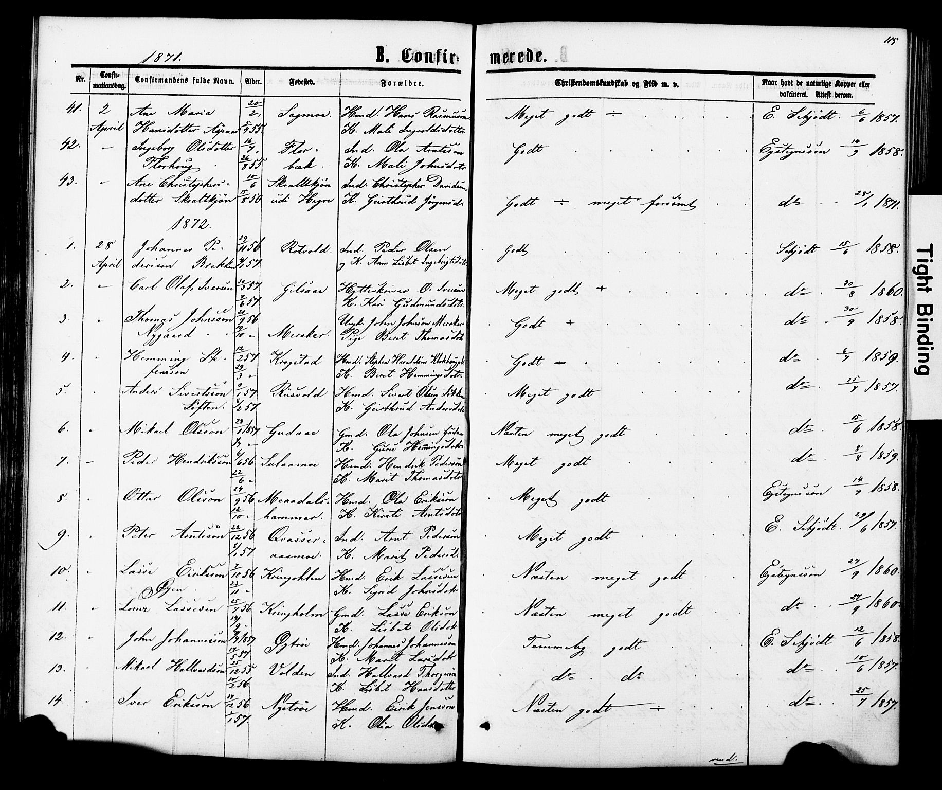Ministerialprotokoller, klokkerbøker og fødselsregistre - Nord-Trøndelag, SAT/A-1458/706/L0049: Parish register (copy) no. 706C01, 1864-1895, p. 115