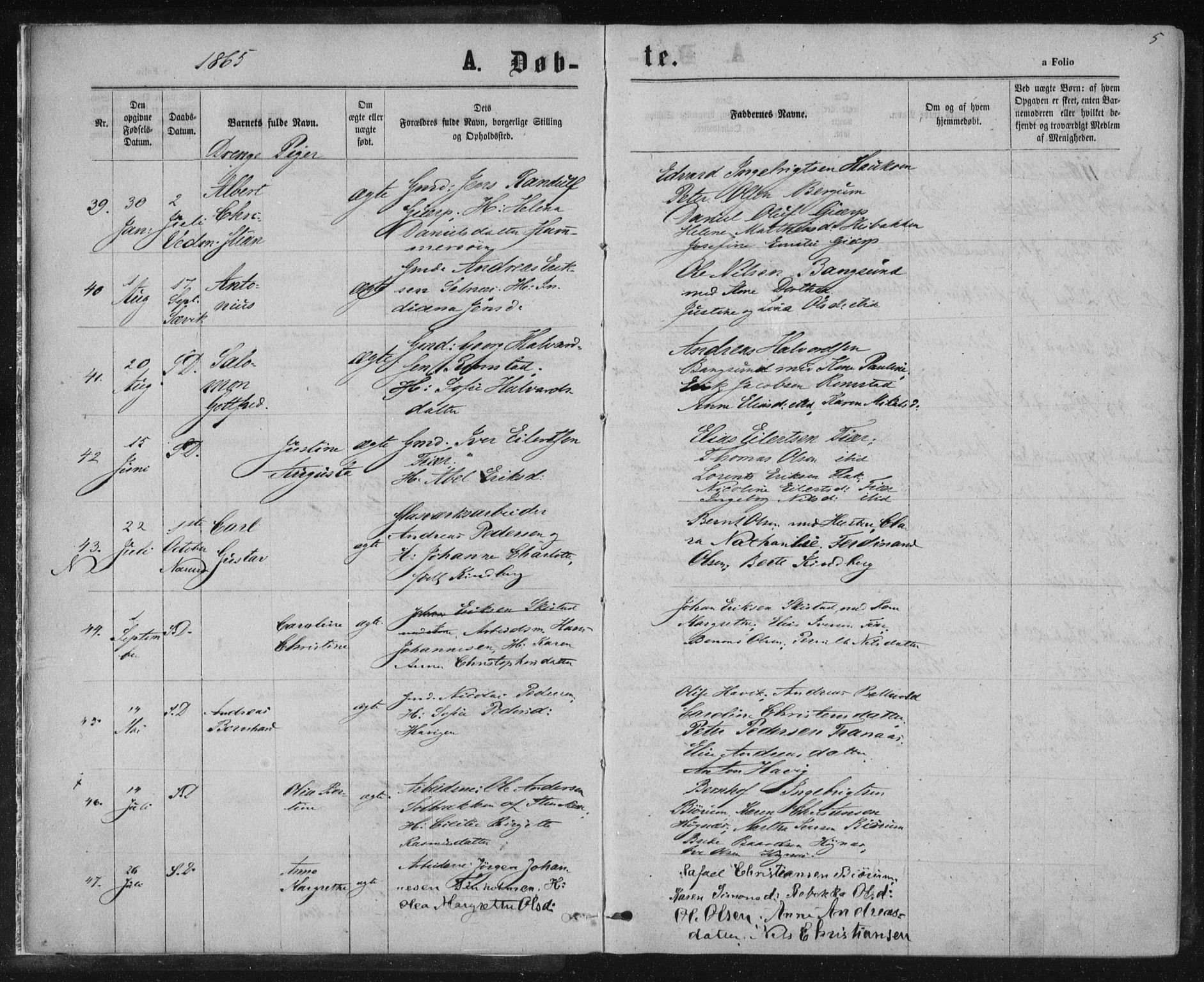 Ministerialprotokoller, klokkerbøker og fødselsregistre - Nord-Trøndelag, AV/SAT-A-1458/768/L0570: Parish register (official) no. 768A05, 1865-1874, p. 5