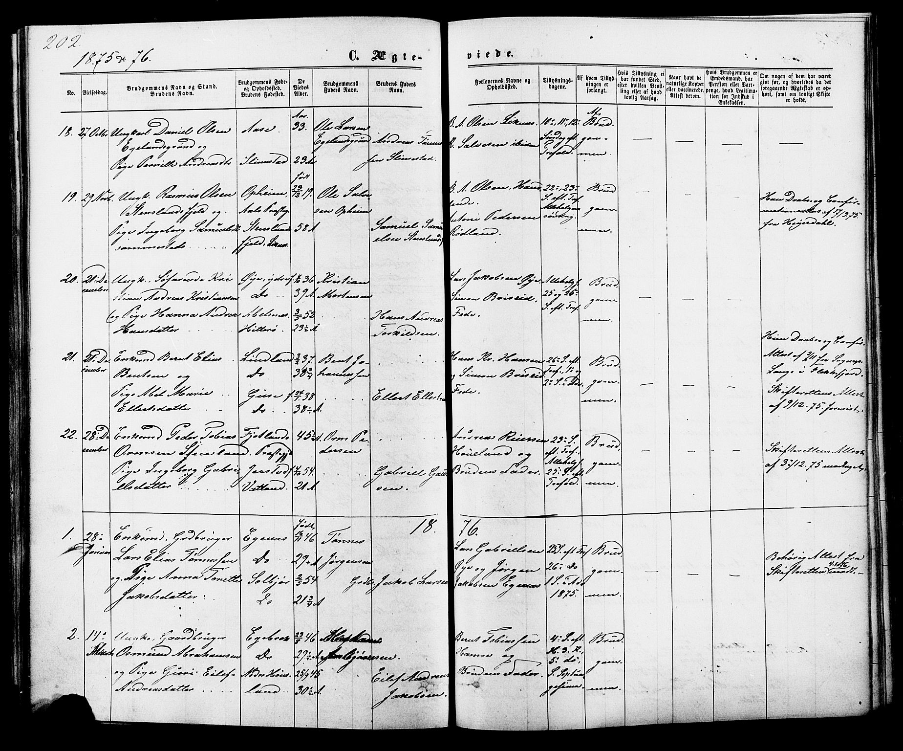 Kvinesdal sokneprestkontor, SAK/1111-0026/F/Fa/Fab/L0007: Parish register (official) no. A 7, 1870-1885, p. 202