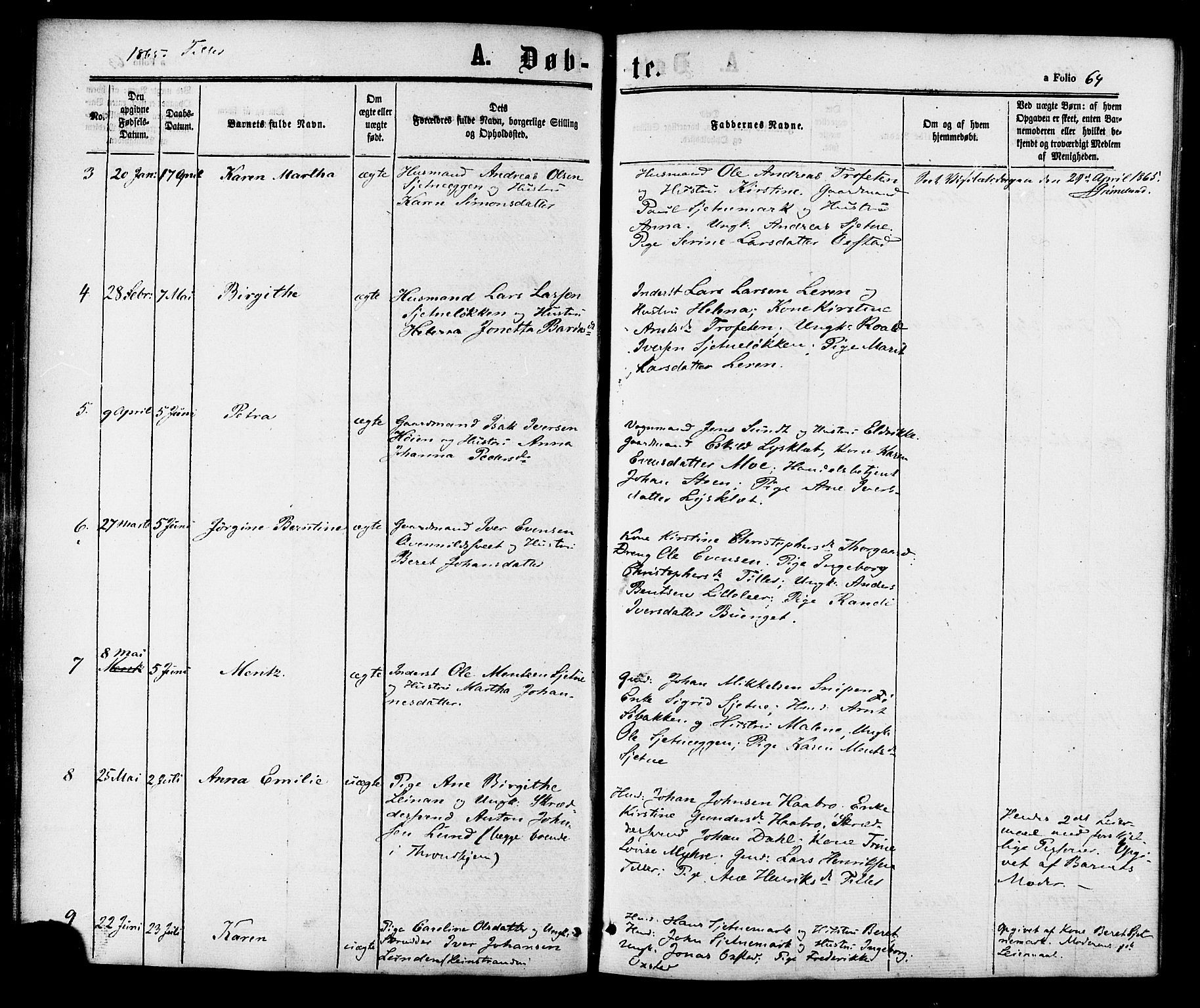 Ministerialprotokoller, klokkerbøker og fødselsregistre - Sør-Trøndelag, SAT/A-1456/618/L0443: Parish register (official) no. 618A06 /2, 1863-1879, p. 64