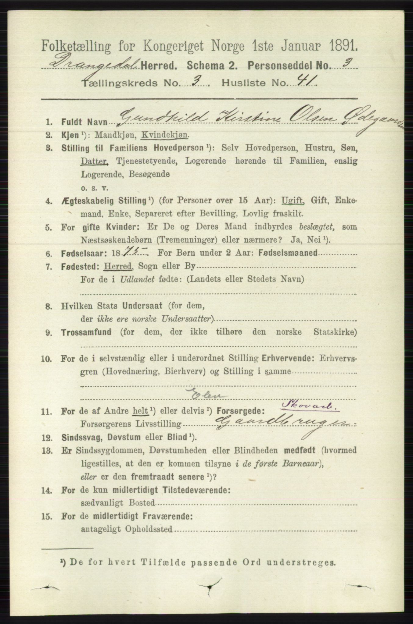 RA, 1891 census for 0817 Drangedal, 1891, p. 1121