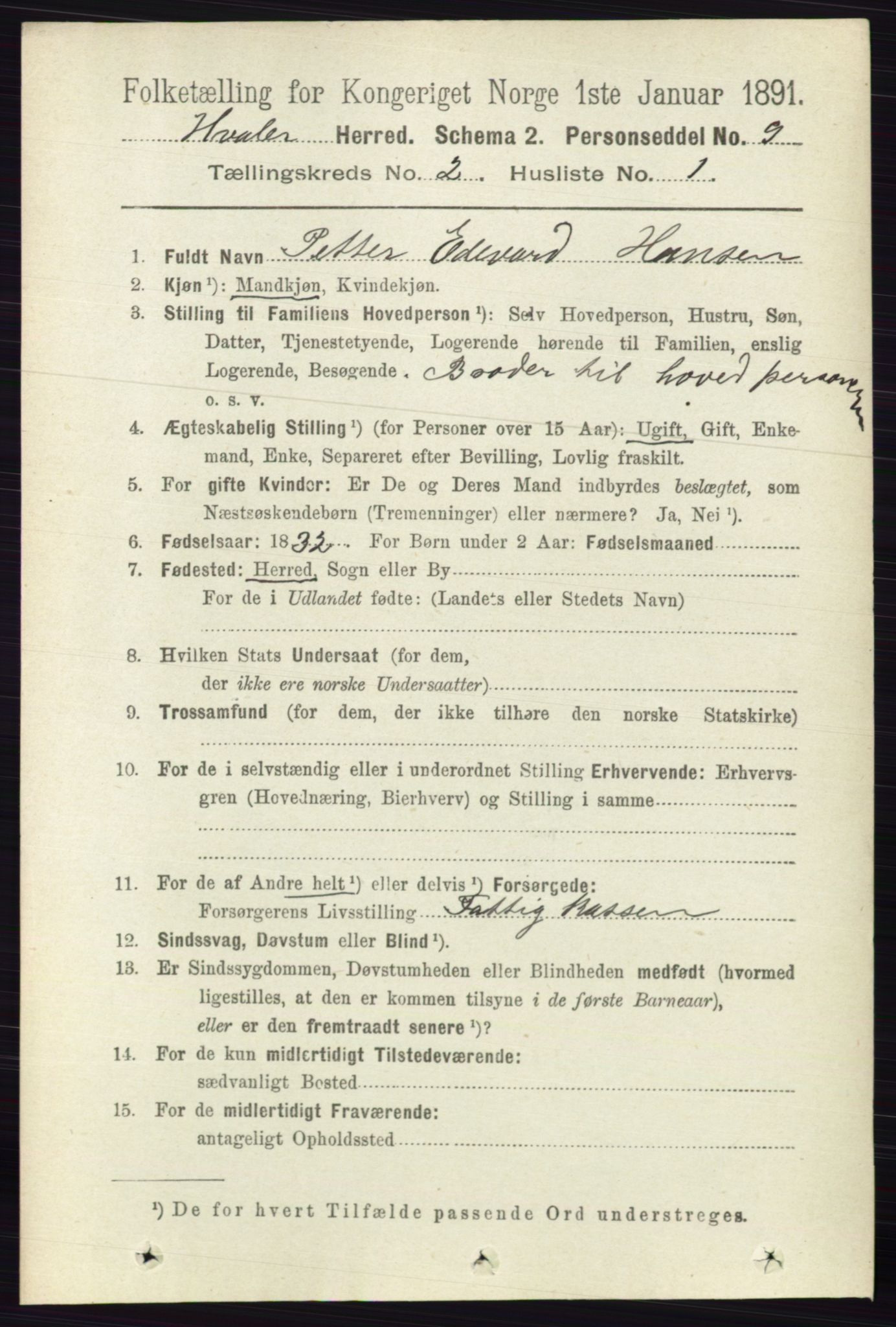 RA, 1891 census for 0111 Hvaler, 1891, p. 1013