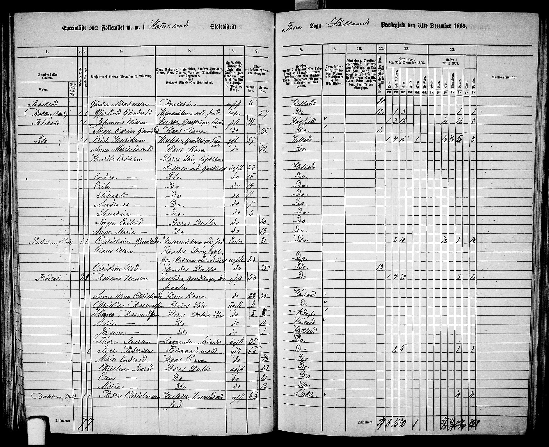 RA, 1865 census for Hetland, 1865, p. 83